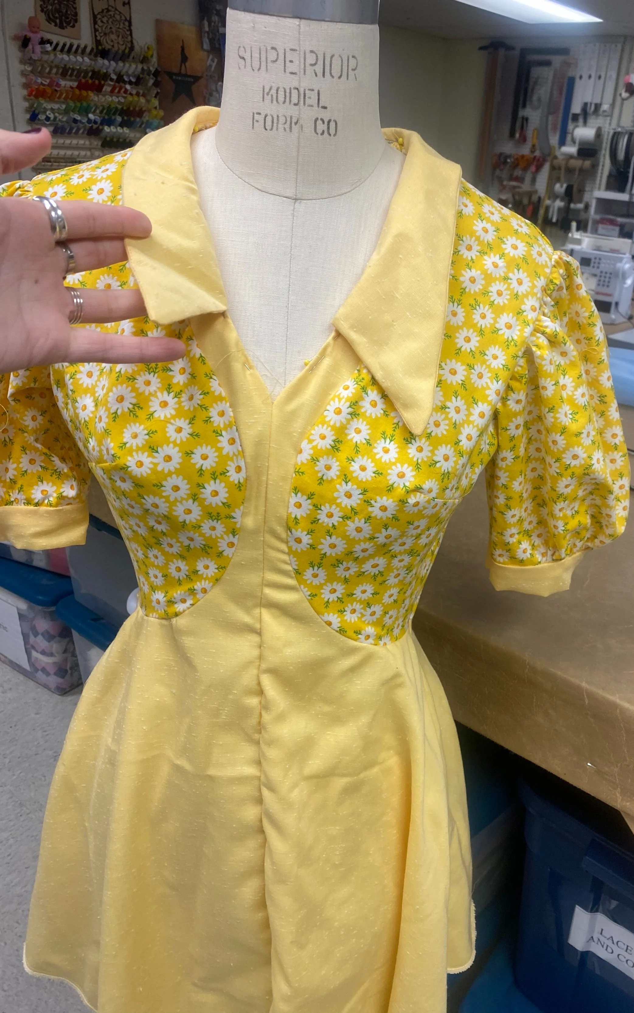 cropped-collar-vintage.jpg