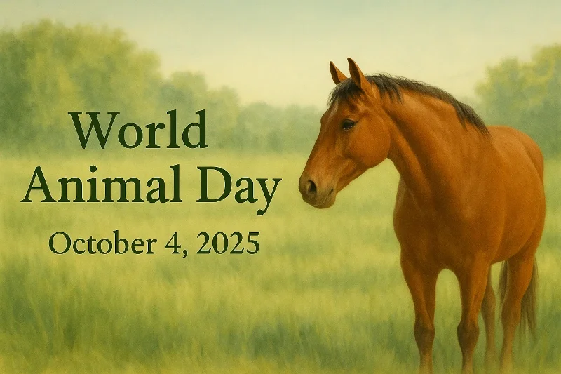 Why Protecting Wild Horses Matters More Than Ever