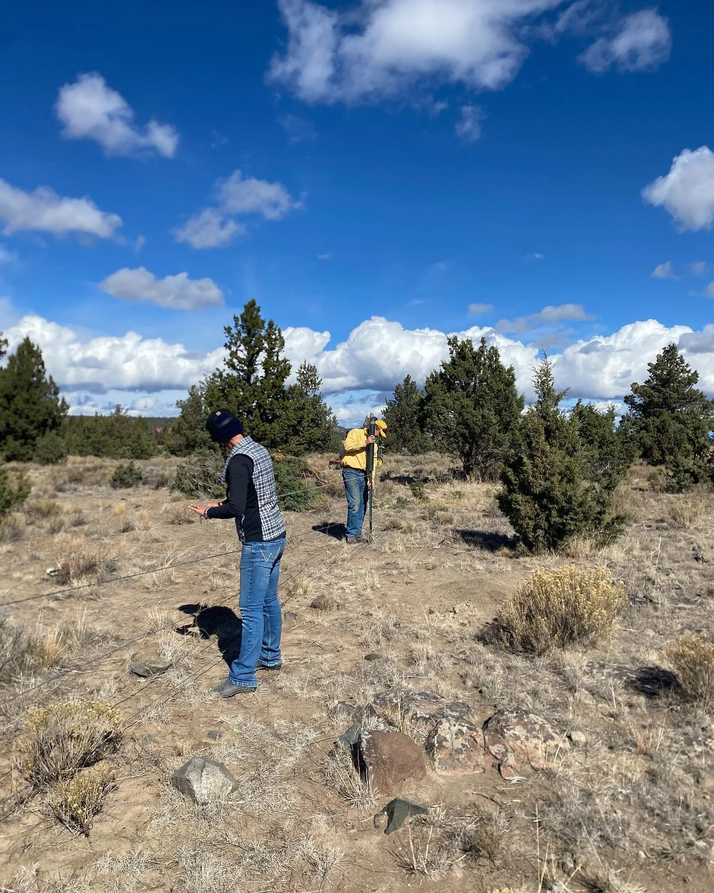 We so appreciate these volunteers coming out to help us manage some important projects needing done before winter arrives. There was no horsing around today. What a productive day and amazing group!