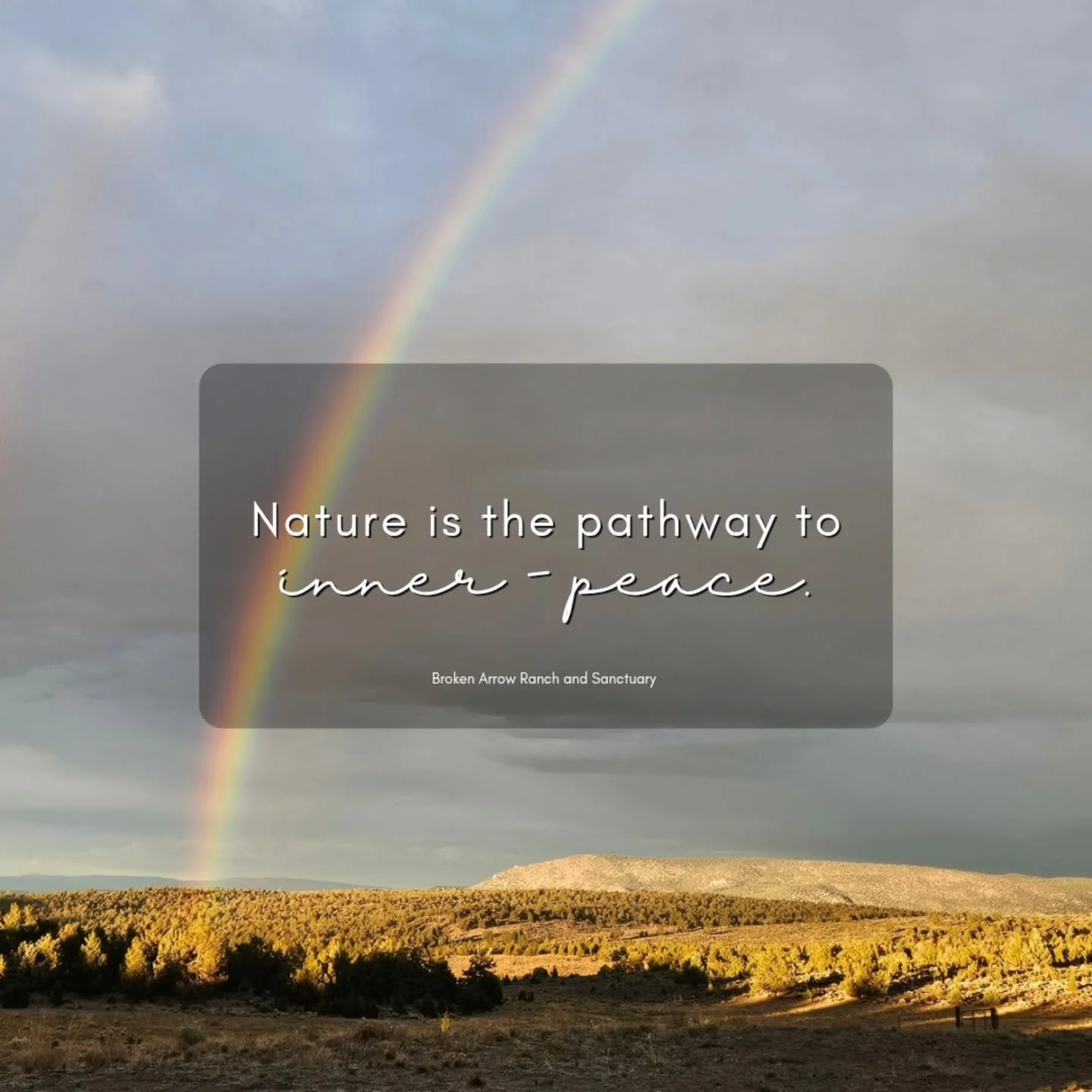 Rainbow skies over the sanctuary — the horses graze, the air softens...a moment of grace in motion.