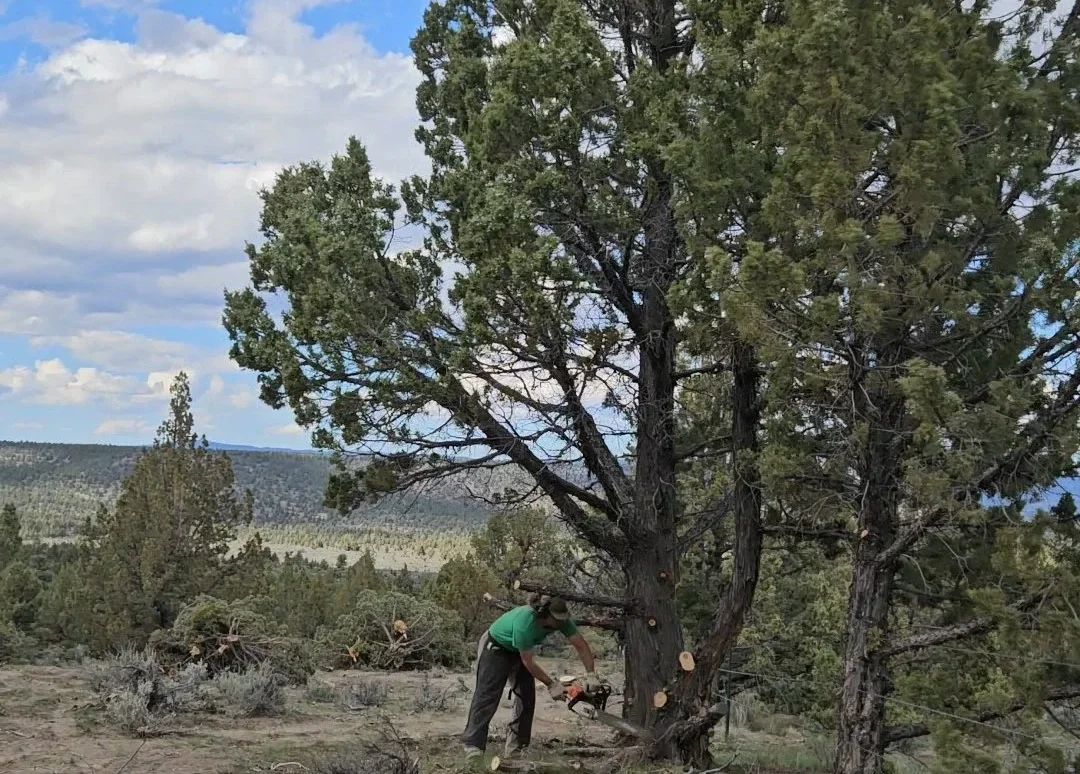 How Broken Arrow Ranch &amp; Sanctuary Is Restoring Oregon's High Desert Habitat