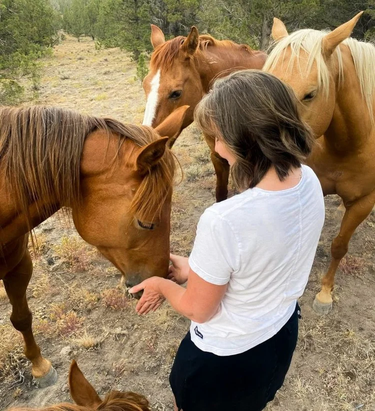 Introducing the New Broken Arrow Ranch & Sanctuary Website — Broken ...