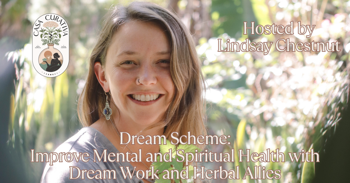 Dream Scheme: Improve Mental and Spiritual Health with Dream Work and Herbal Allies
