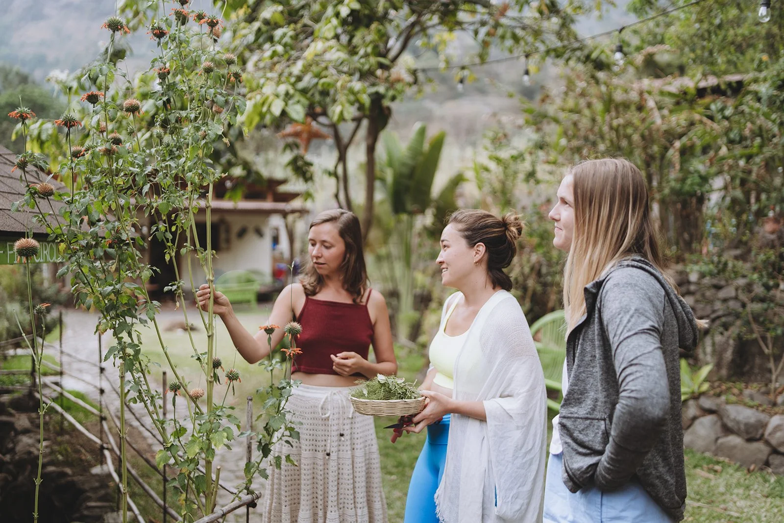 Three women in an outdoor garden sharing a moment as one of them shows a plant to the others, holding a basket of herbs.