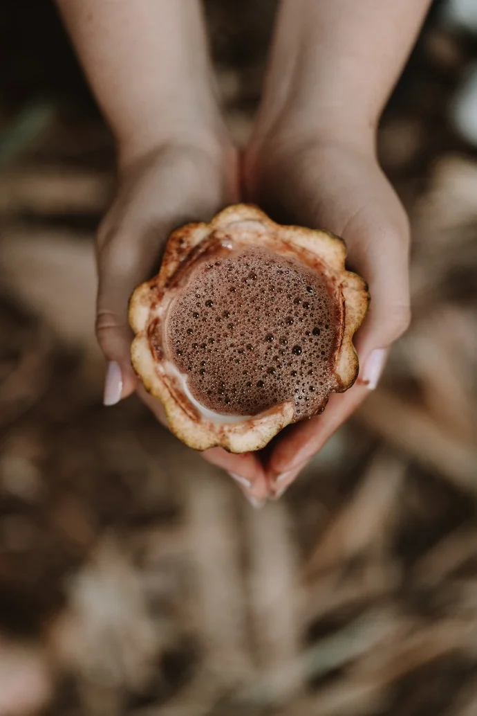 FEB1ST |  CACAO HERB MUSHROOM | Tuition Only