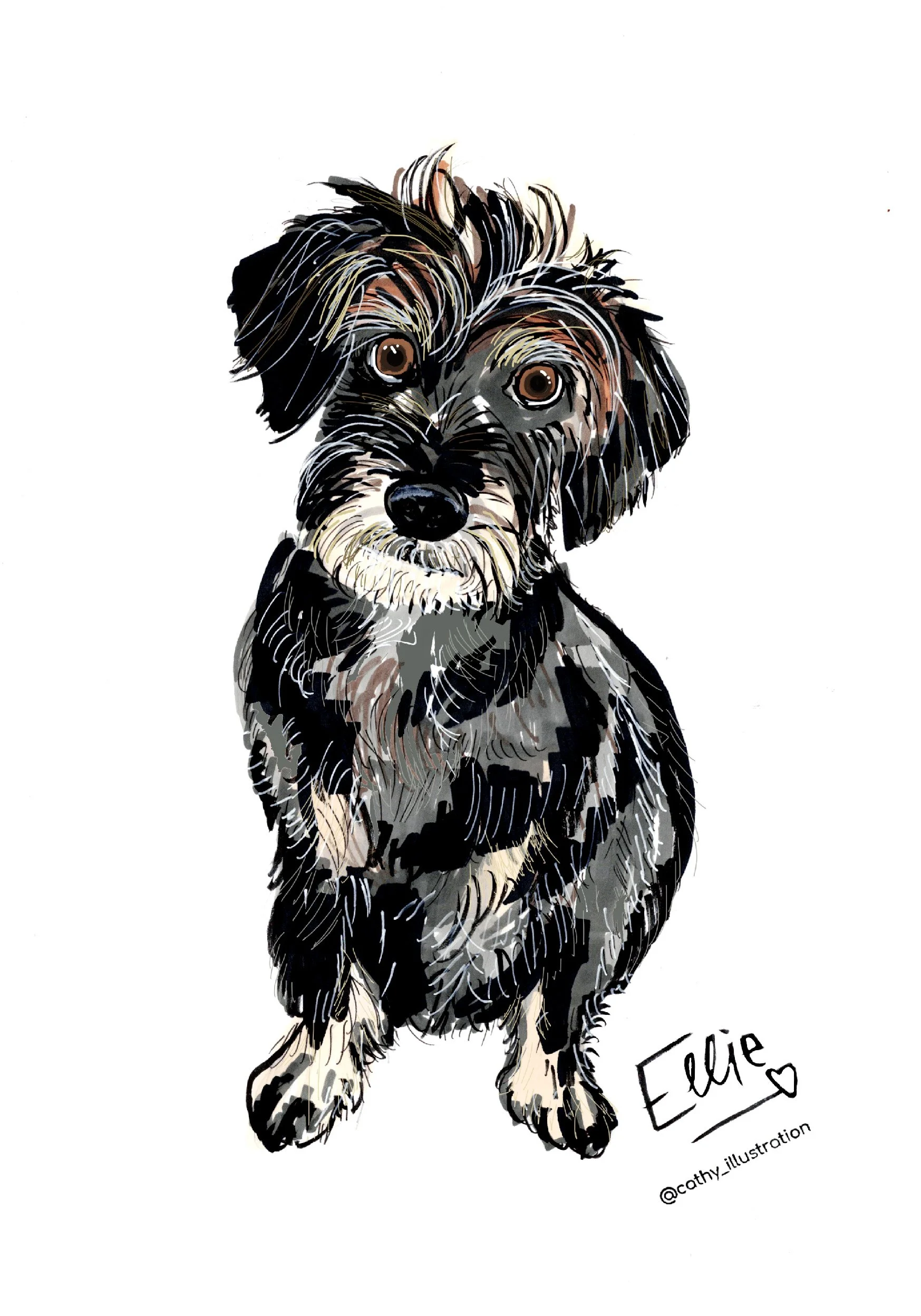 Ellie.jpg