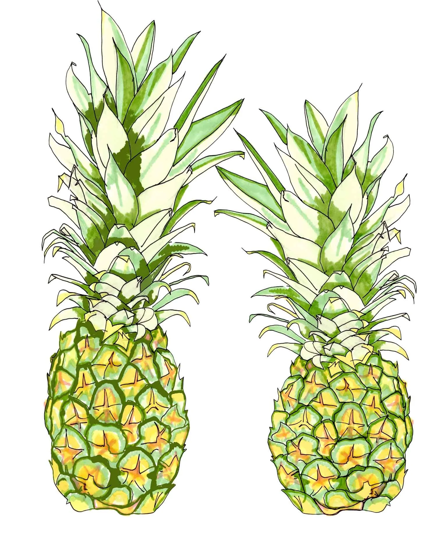 2pineapples.jpg