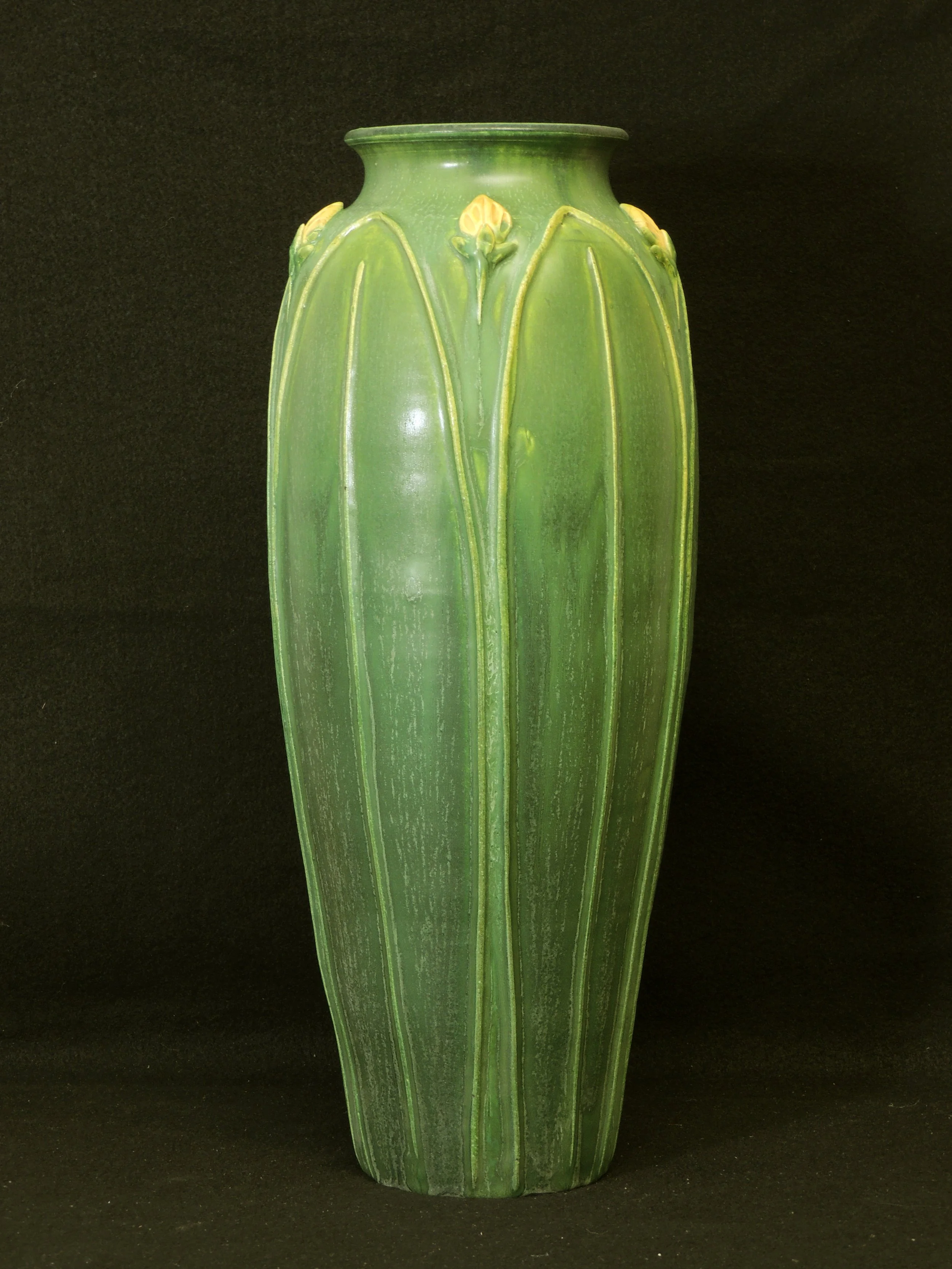 DSCN7906.JPG