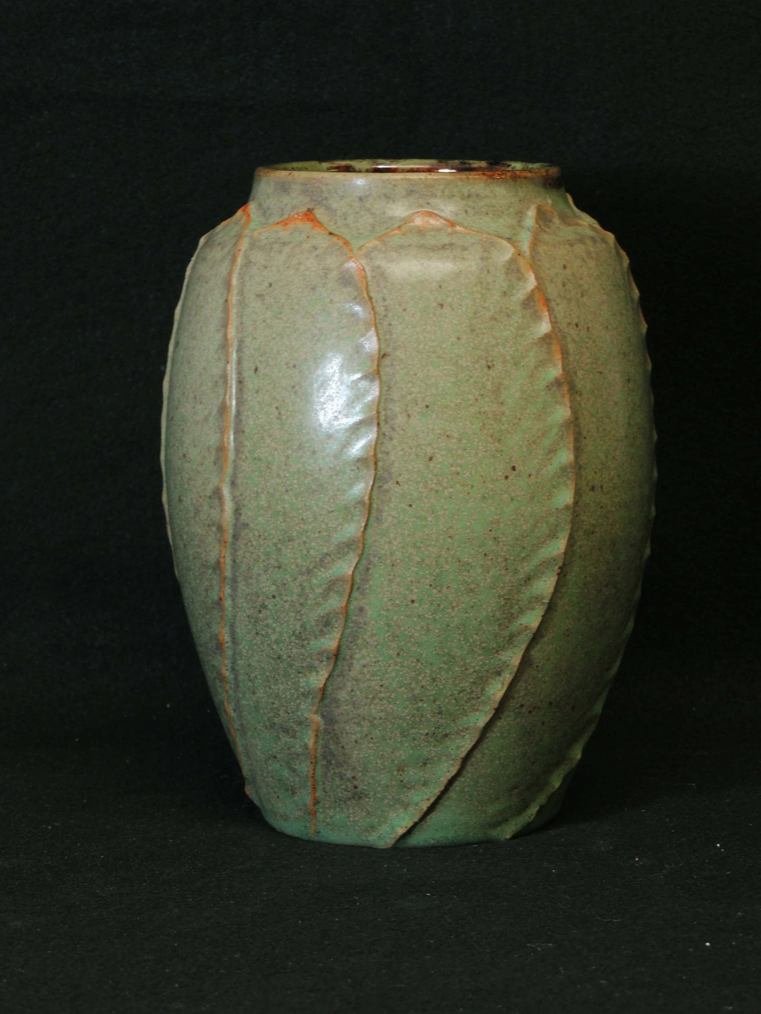 DSCN7979.JPG