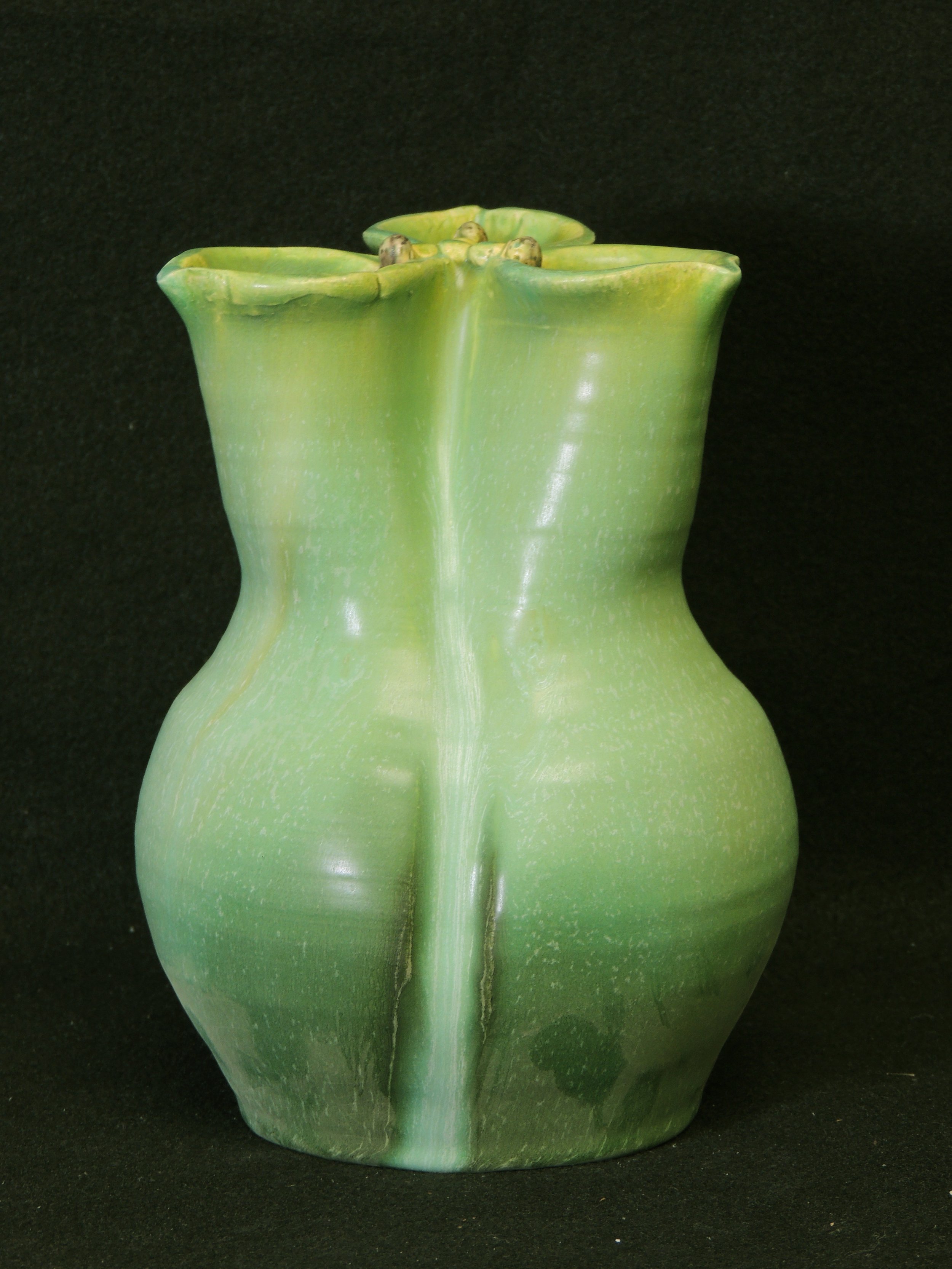 DSCN7965.JPG