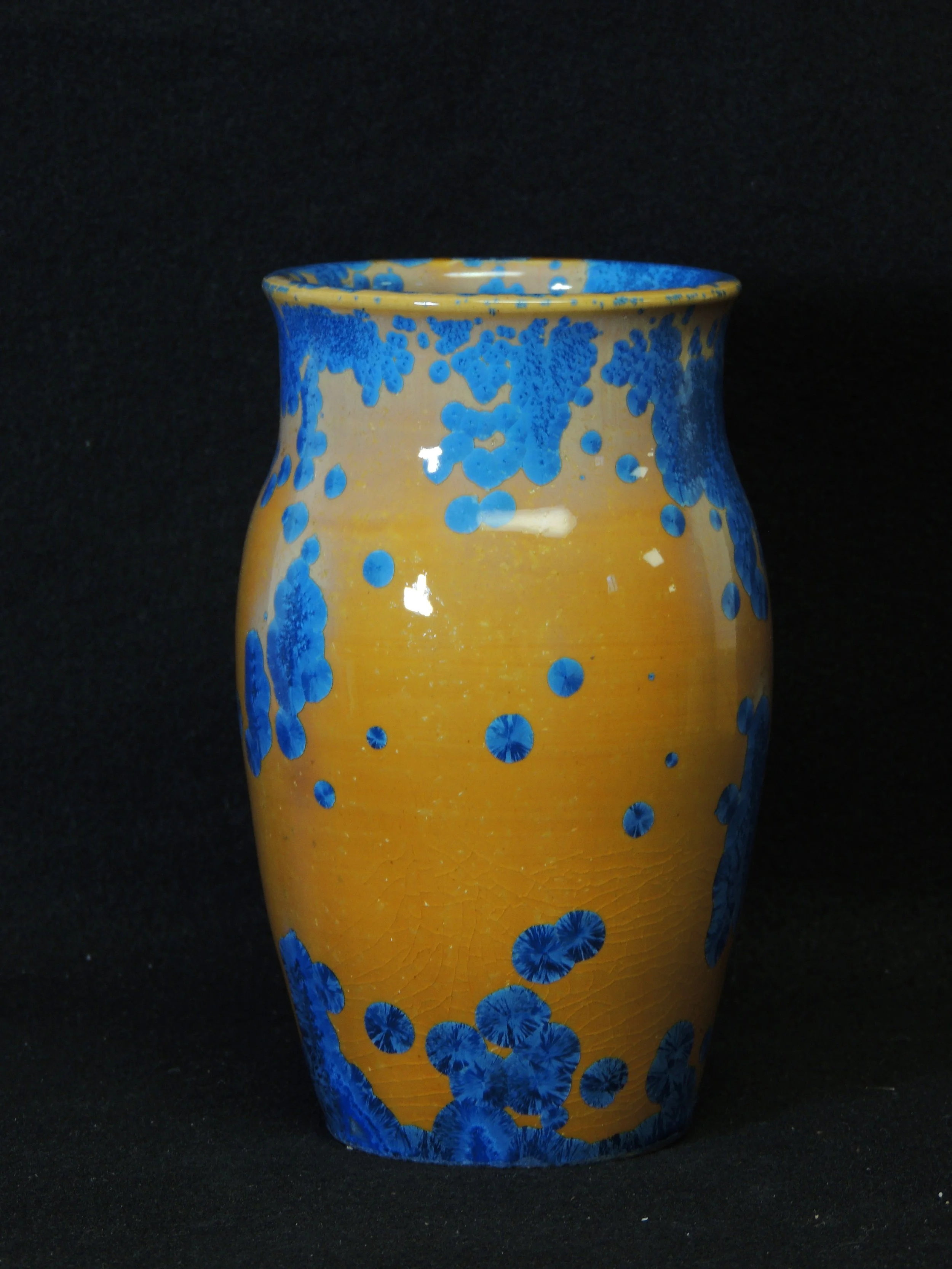 DSCN7989.JPG