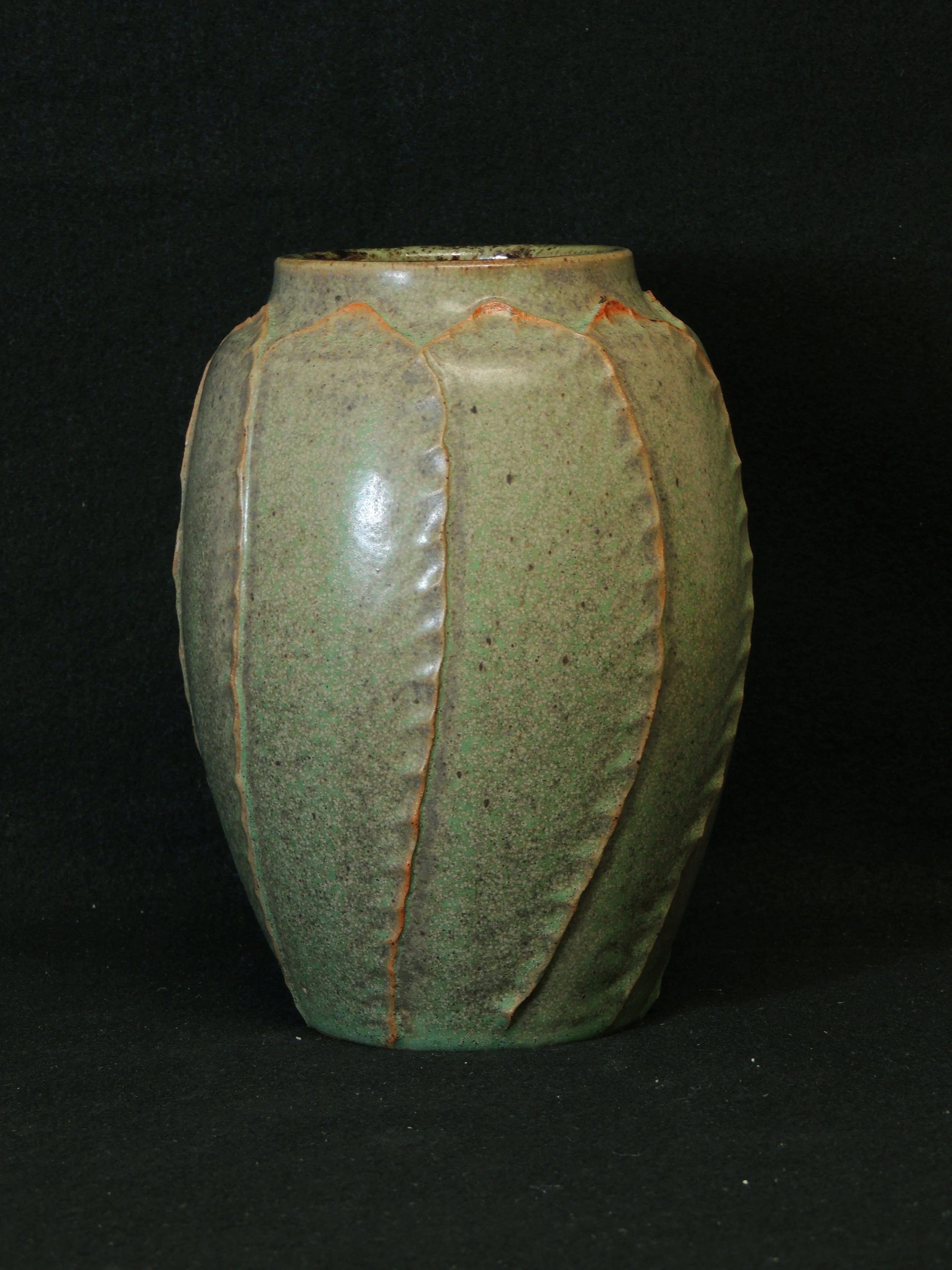 DSCN7978.JPG