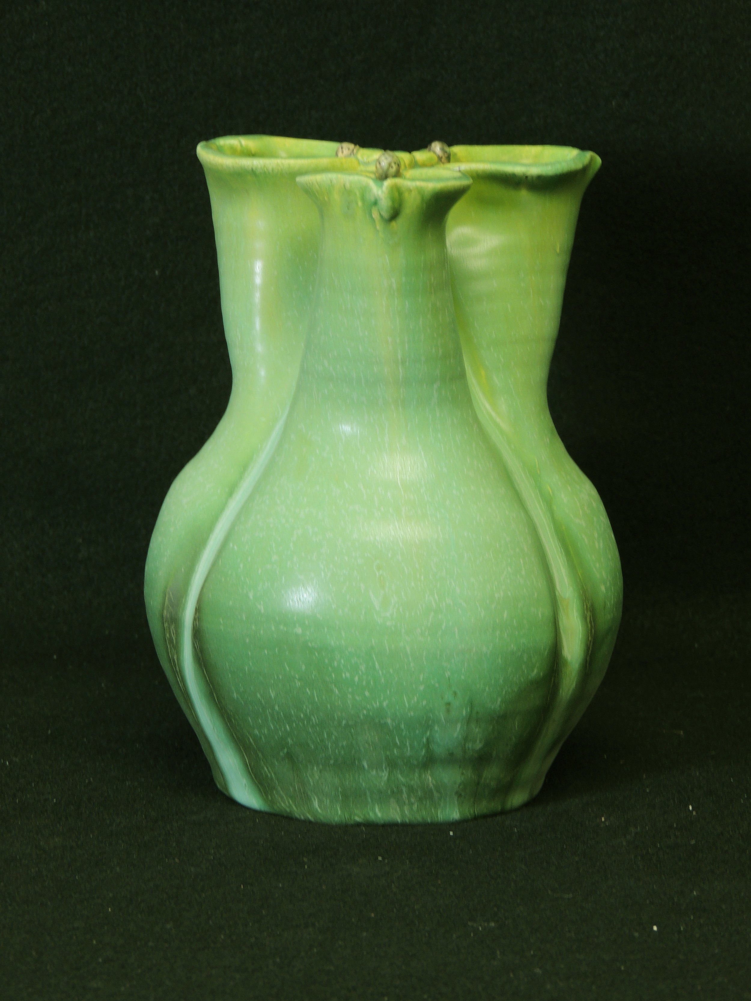 Jack in the Pulpit Vase