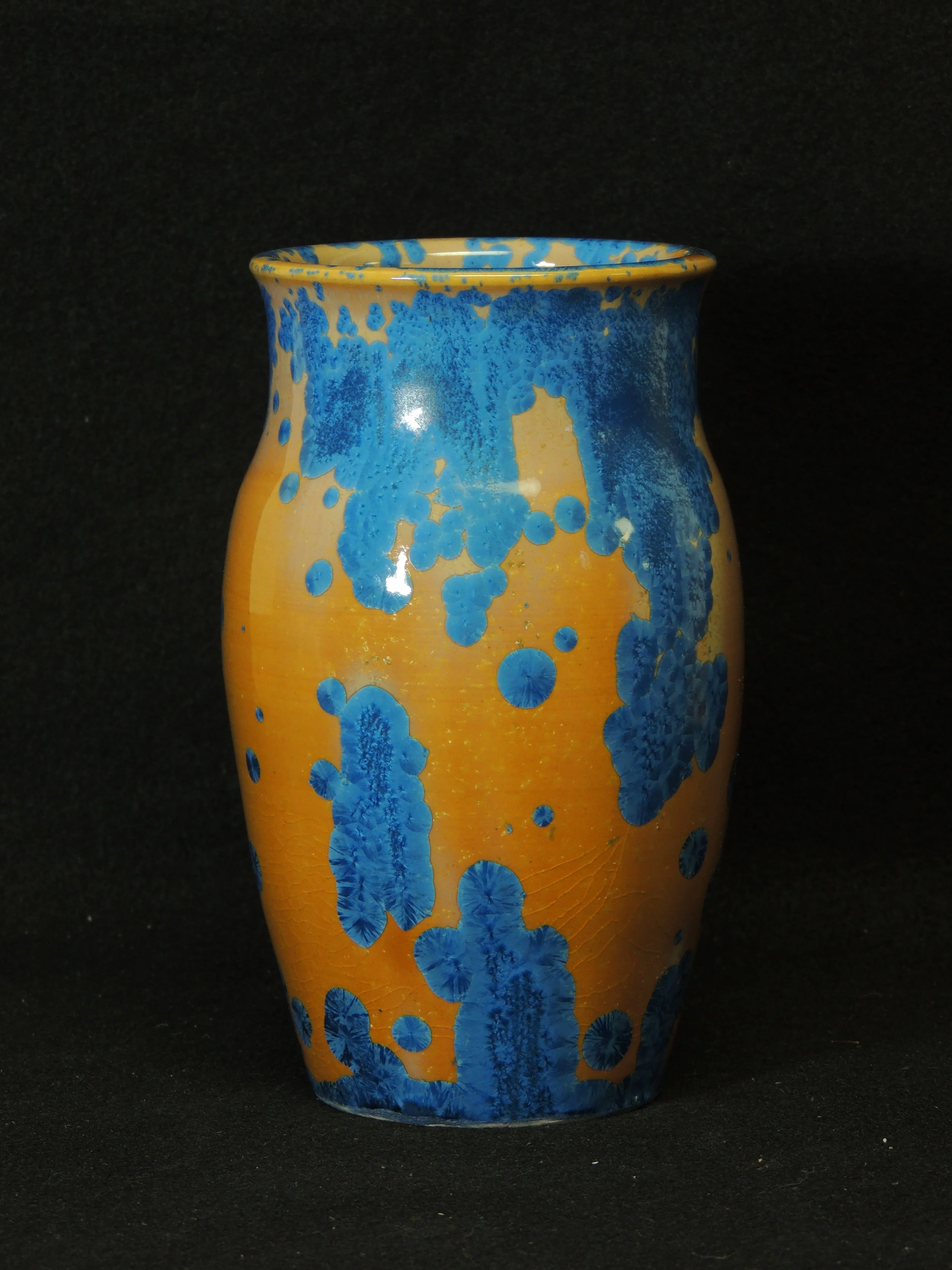 DSCN7990.JPG