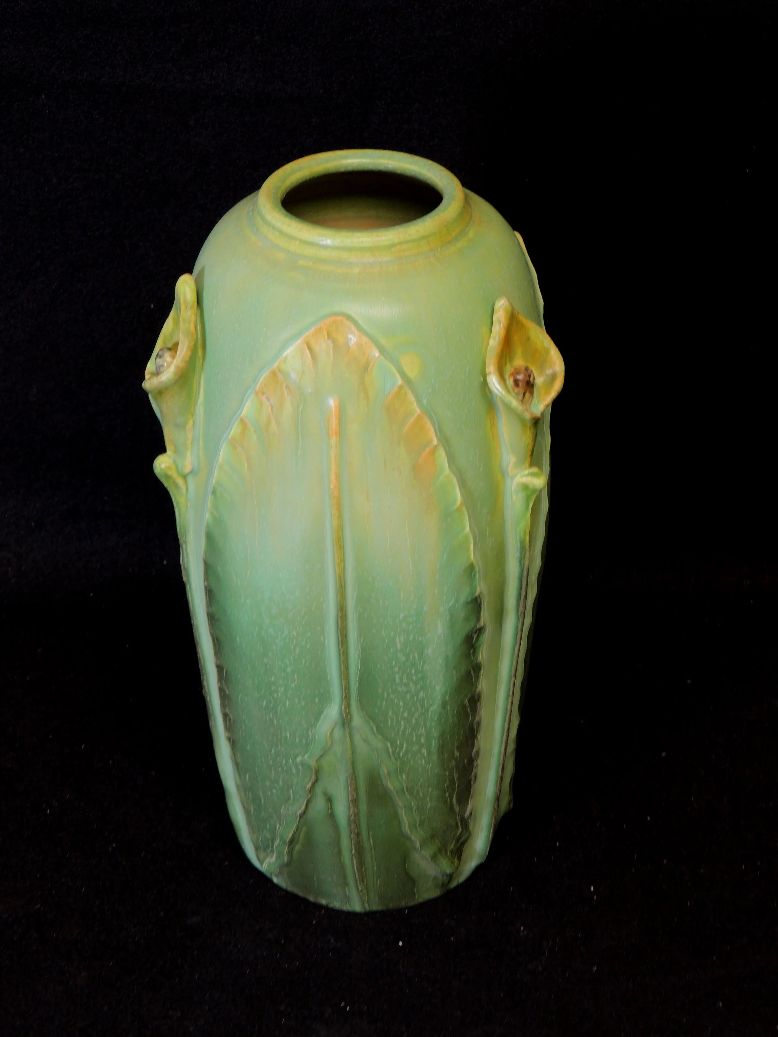 DSCN7964.JPG