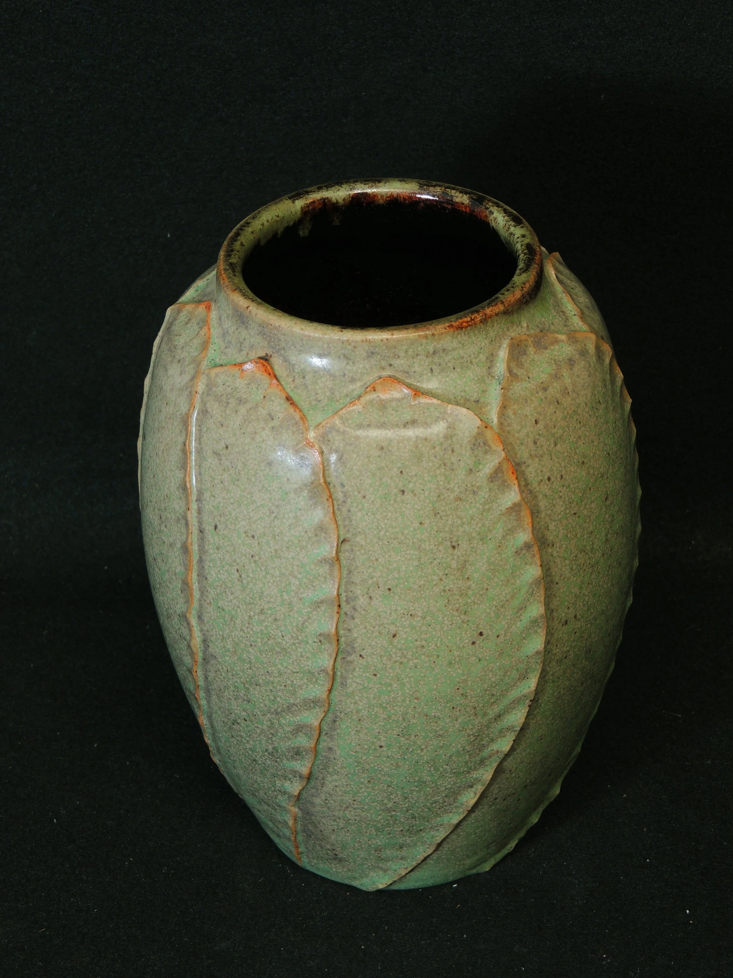 DSCN7980.JPG