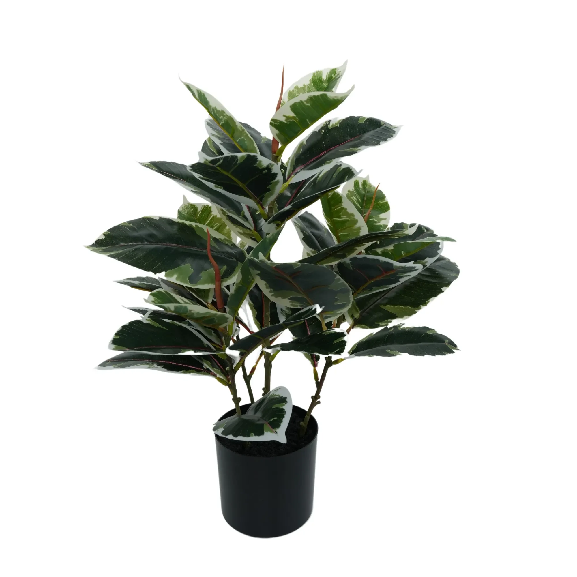 Artificial bushy variegated ficus tree (rubber tree)
H50 cm
RRP: $64.95
Selling at: $40.00
Available: 1