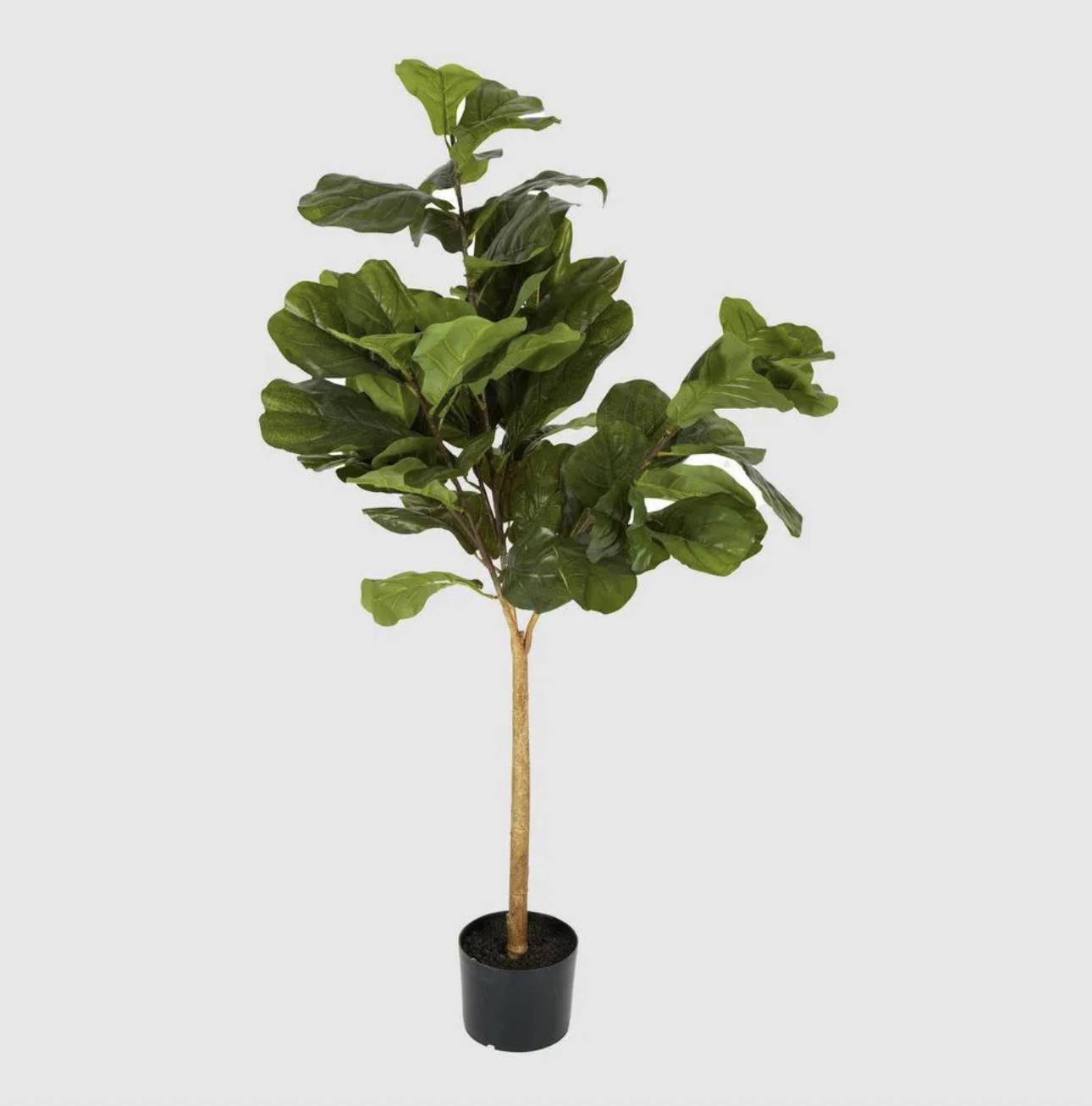 Fiddle leaf tree real touch
H132 cm
RRP: $192.00
Selling at: $110.00
Available: 2