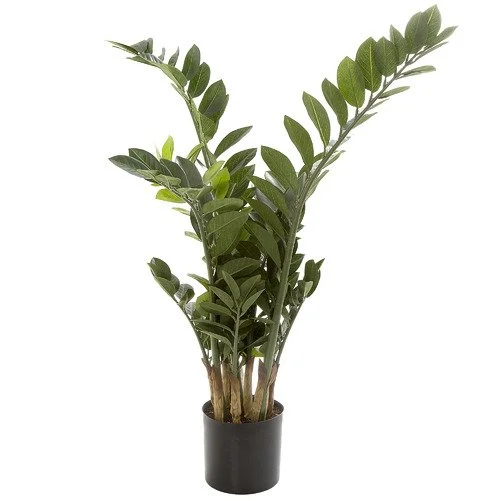 Smargago potted plant
H90 cm
RRP: $129.99
Selling at: $80.00
Available: 2