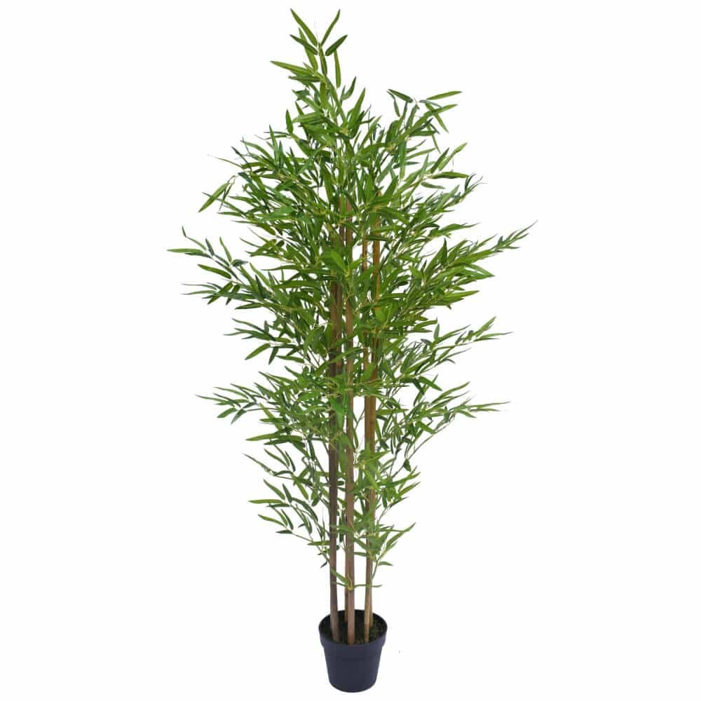 Natural bamboo trunk (real touch leaves)
H180cm
RRP: $239.95
Selling at: $180.00
Available: 1