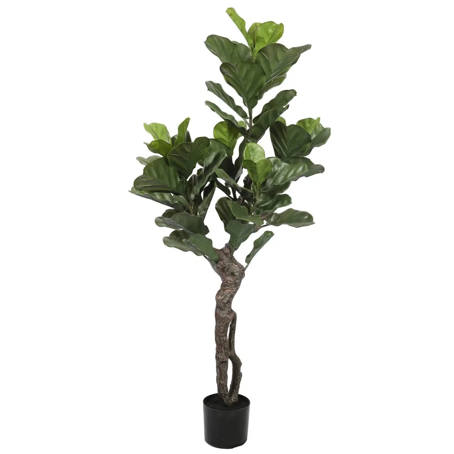 Premium handcrafted artificial fiddle leaf fig tree uv resistant
H150cm
RRP: $399.95
Selling at: $250.00
Available: 1