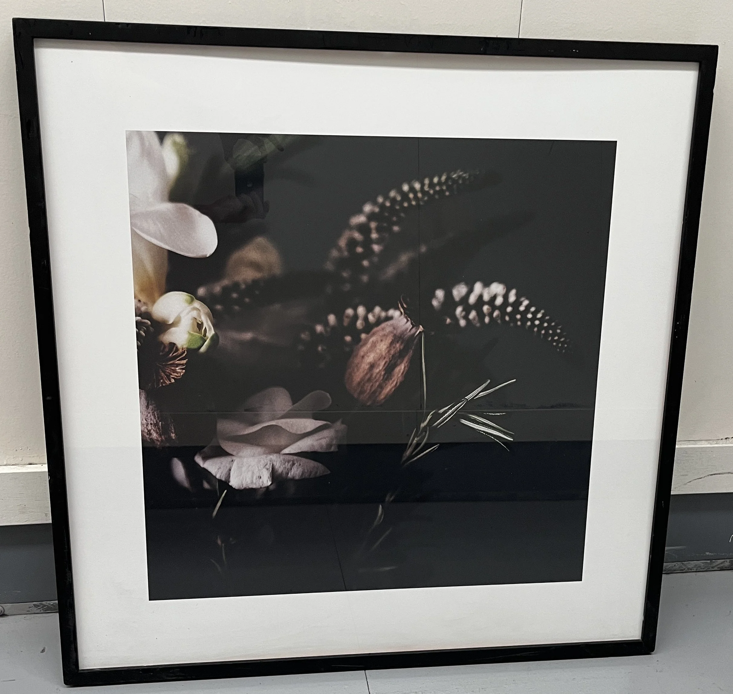 Afc dark frame, floral dark protea 1