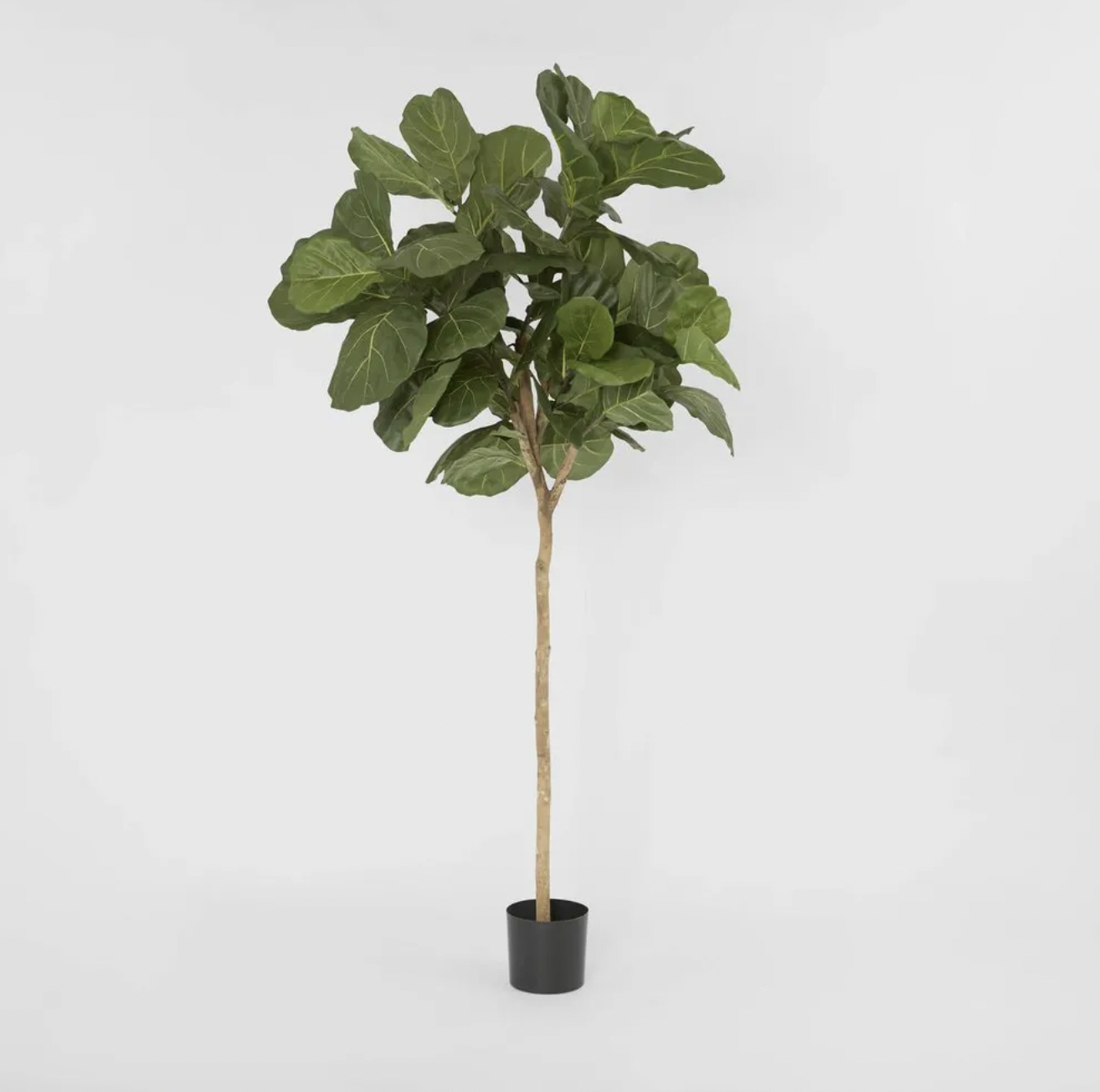 Fiddle leaf tree
H215cm
RRP: $499.00
Selling at: $400.00
Available: 1