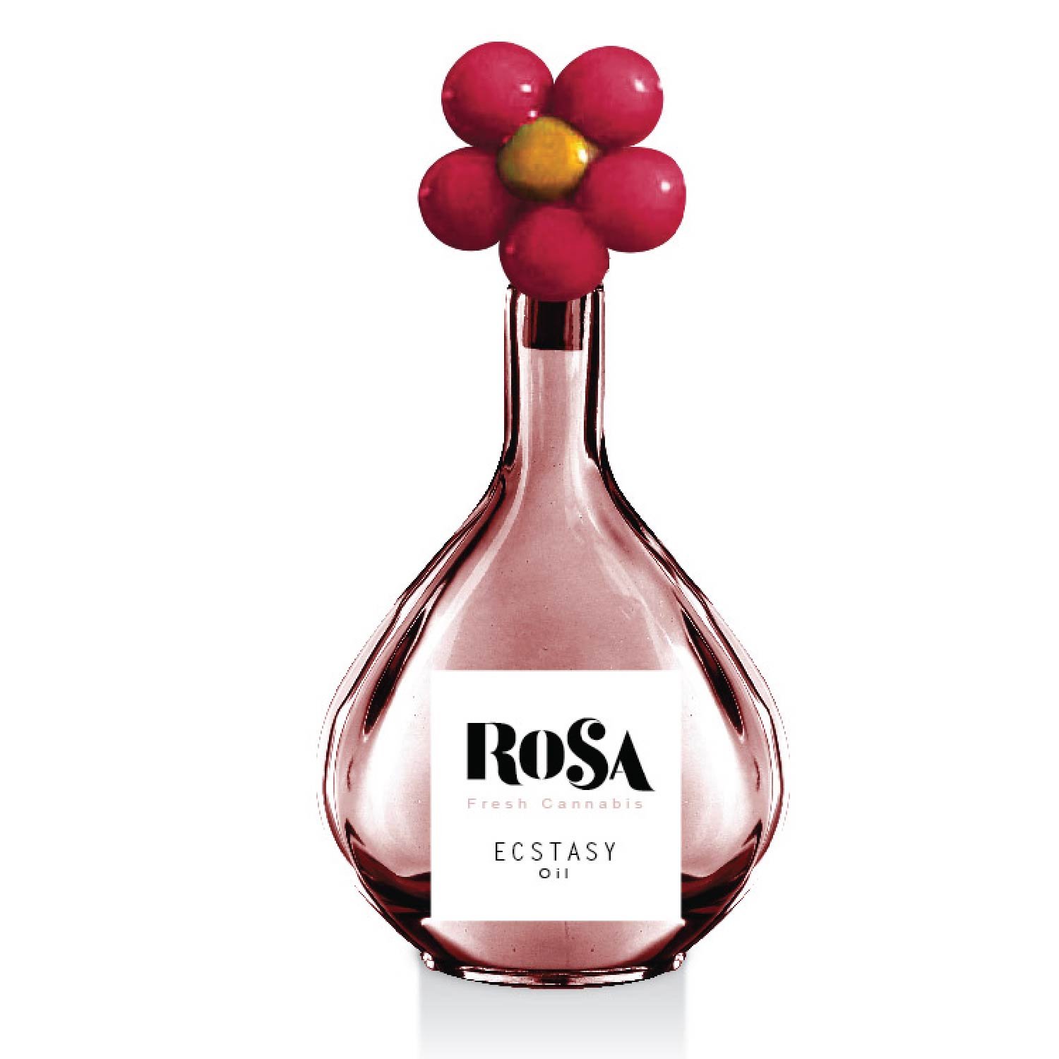 SoniaSussman_Portfolio2022_WebsiteTiles_Rosa 03.jpg