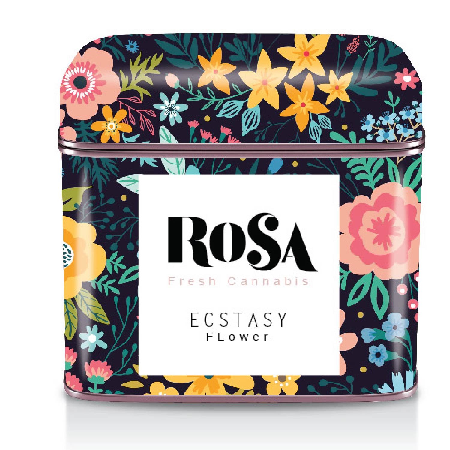 SoniaSussman_Portfolio2022_WebsiteTiles_Rosa 09.jpg