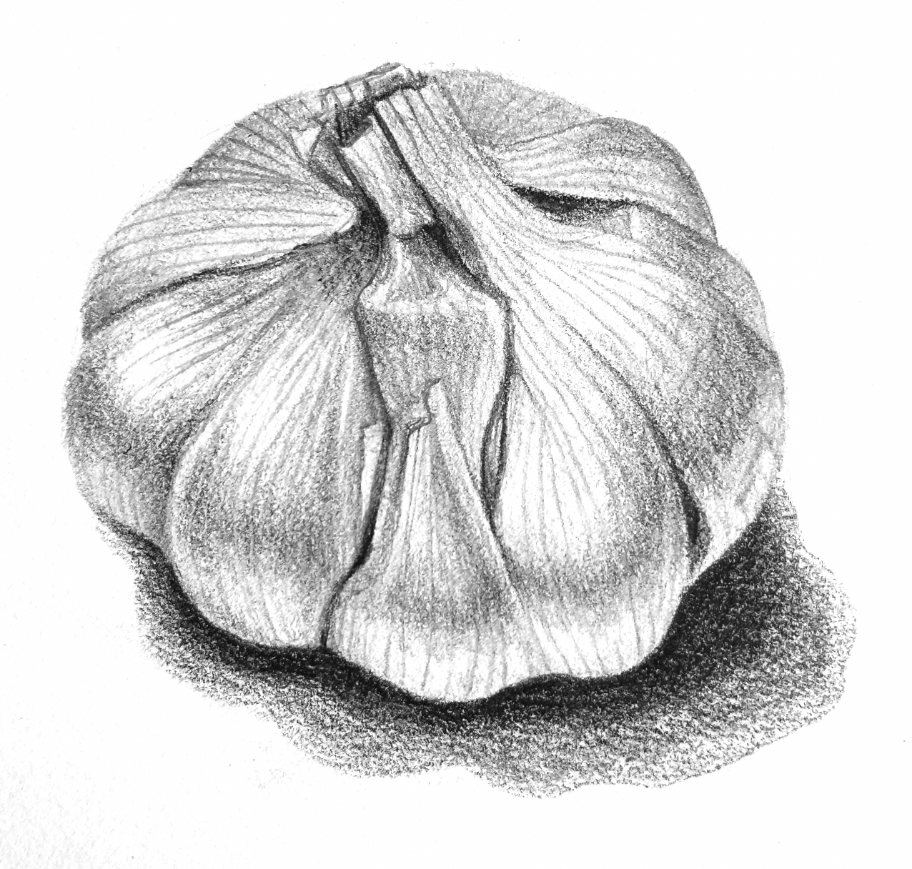 SS_Garlic.png