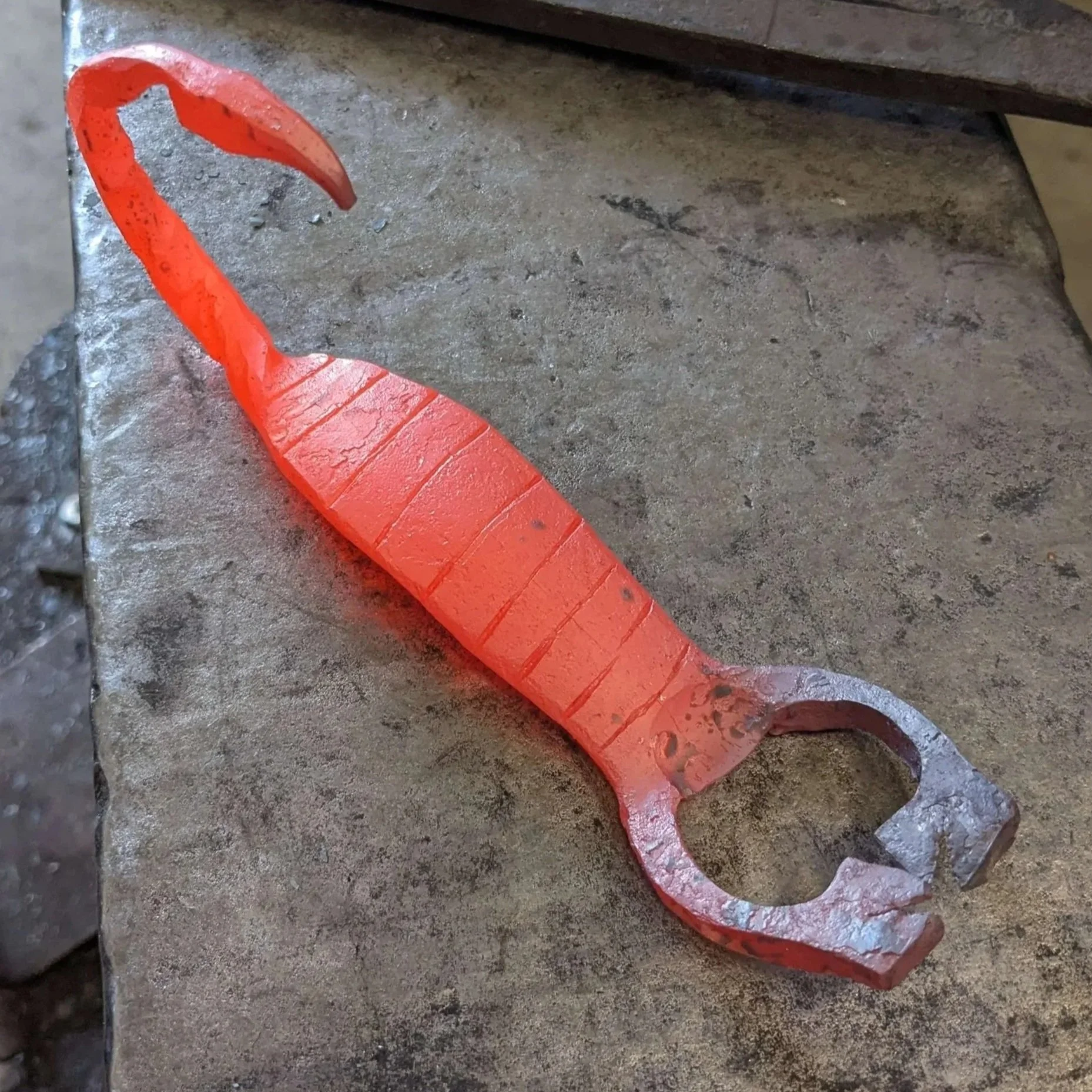 Complex Scorpion Bottle Opener