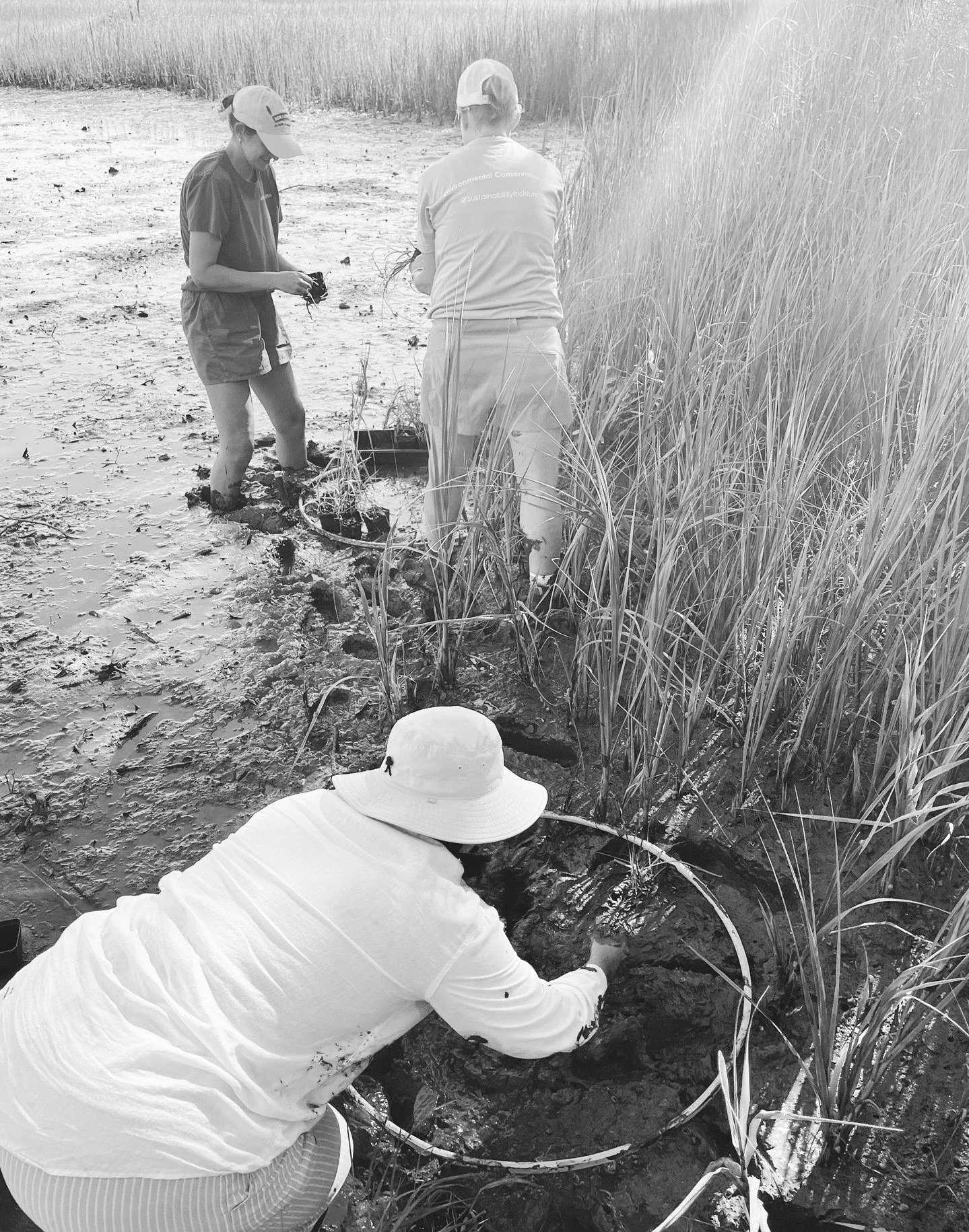 The Marsh Project likes to take a little summer vacation every&hellip; summer. ☀️ Sort of... I mean we're still dOiNg things, but programming slows a bit because we have kids and they are not in school during this time&hellip;

But this summer we ven