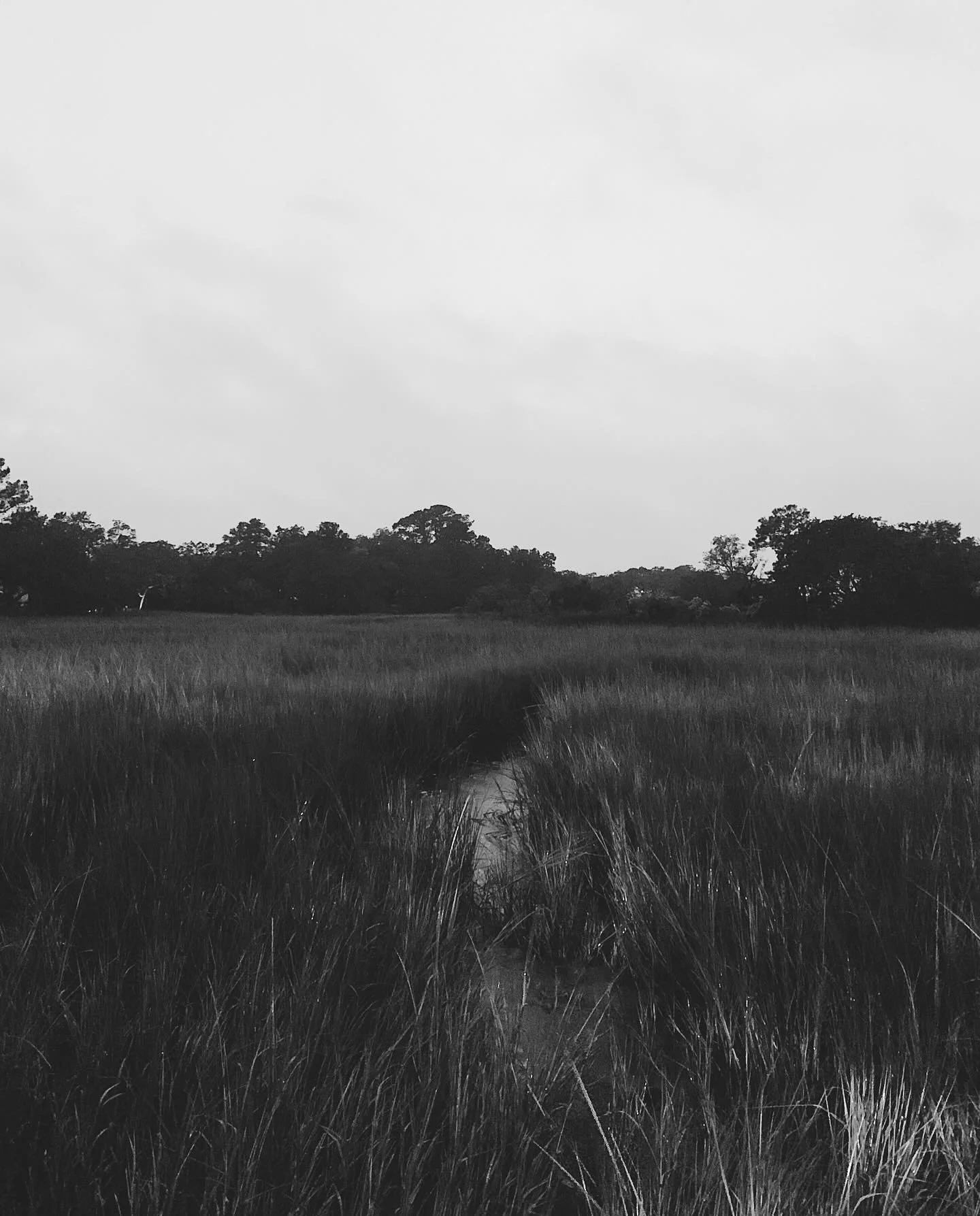 Good night marsh grass. Good night Dominion LED street lamp. 🕶️ Good night pluff mud. Good night Skull Creek*! 
-Margaret Wise Brown

*A solid nickname Halsey Creek used to have back in the day.