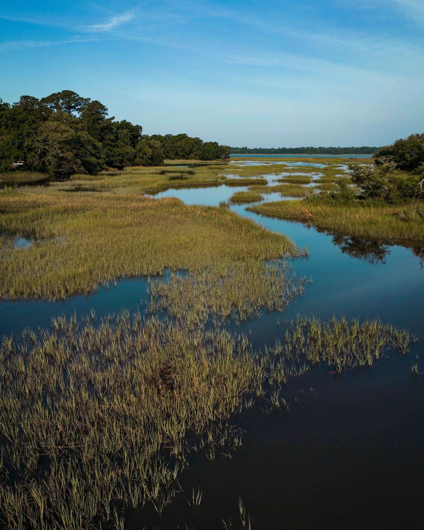Big news!!! Neighbors and friends - @citycharlestonsc is announcing the first BIG OL' step in creating The Just Corridor tomorrow at the Resilience &amp; Sustainability Advisory Committee! We are stoked to hear Kaylan (3) and Mika (4) speak tomorrow!