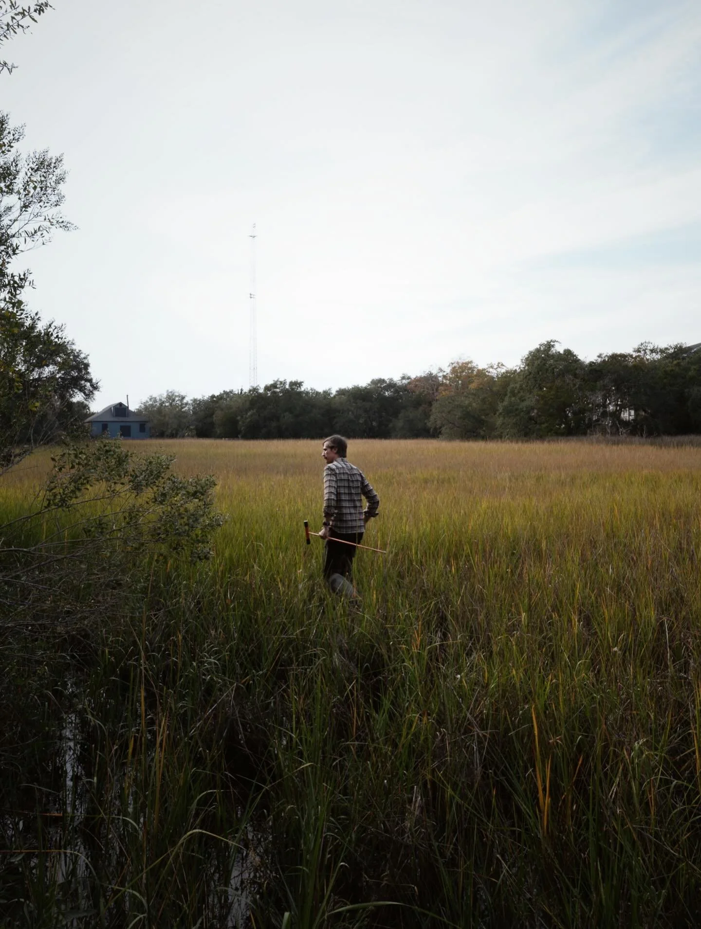 This is our good friend @robinsondesignengineers! Tonight we romped around the outer edges of Halsey Creek with Joshua, near the headwater gardens, looking for stormwater outfalls&hellip; the ones that become inundated with rising tides to feed Lake 