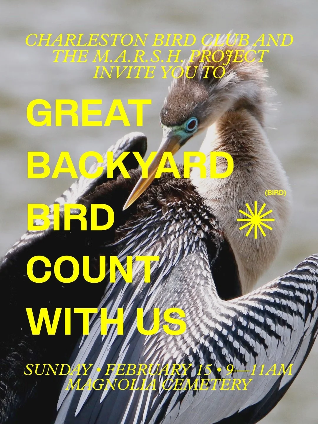 GBBC starts today! Who is eBirding?!
We&rsquo;re still on for Sunday at 9 AM! Please join us with your binos! It doesn't matter where you bird these next 4 days, participating in the Great Backyard Bird Count is a great way to show up for our feather
