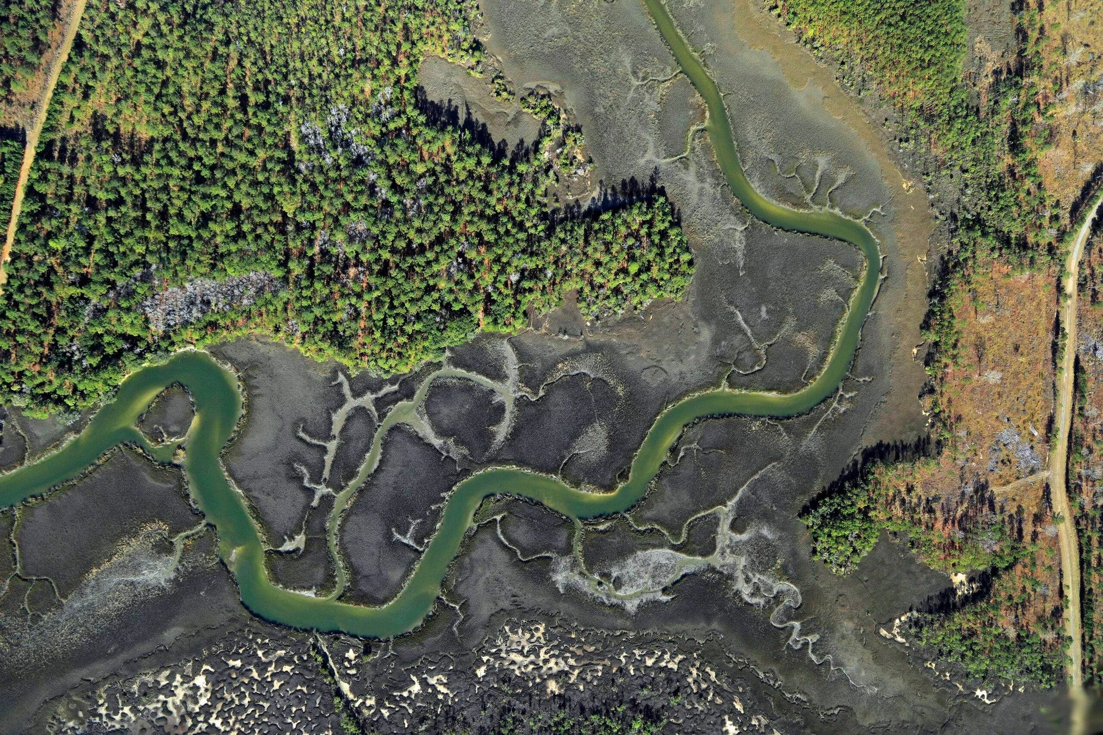 This just screams "FILL ME,&rdquo; amirite?

𝒮𝒾𝓀𝑒!!

This beautiful aerial from @conservationleague&rsquo;s site is a magnificent look at some of Cainhoy peninsula. A gorgeous 9,000 acre landscape we&rsquo;ve had the pleasure of exploring, j