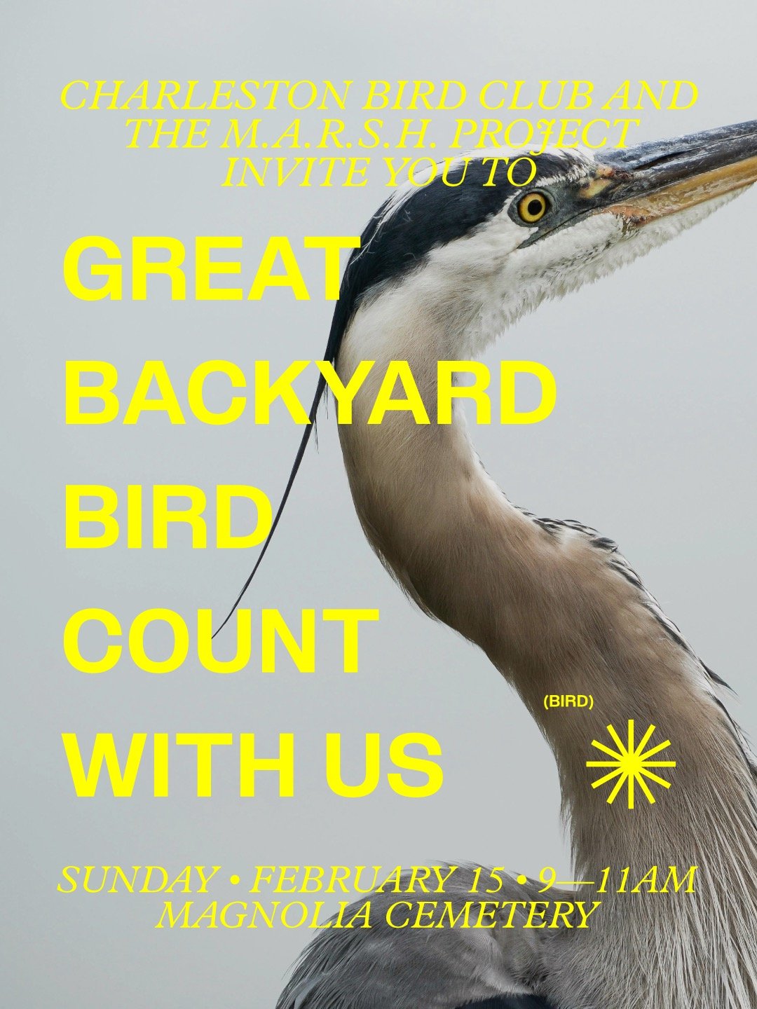 Each February for four days @cornellbirds @audubonsociety and @birds.canada invite people to bird and report their findings to help scientists better understand global bird populations before one of their annual migrations. SO! This Sunday we're bird