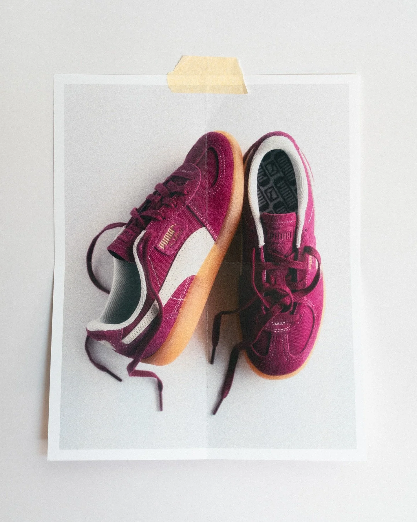 hey alexa, play sneakernight by vanessa hudgens 👟🎶🙈