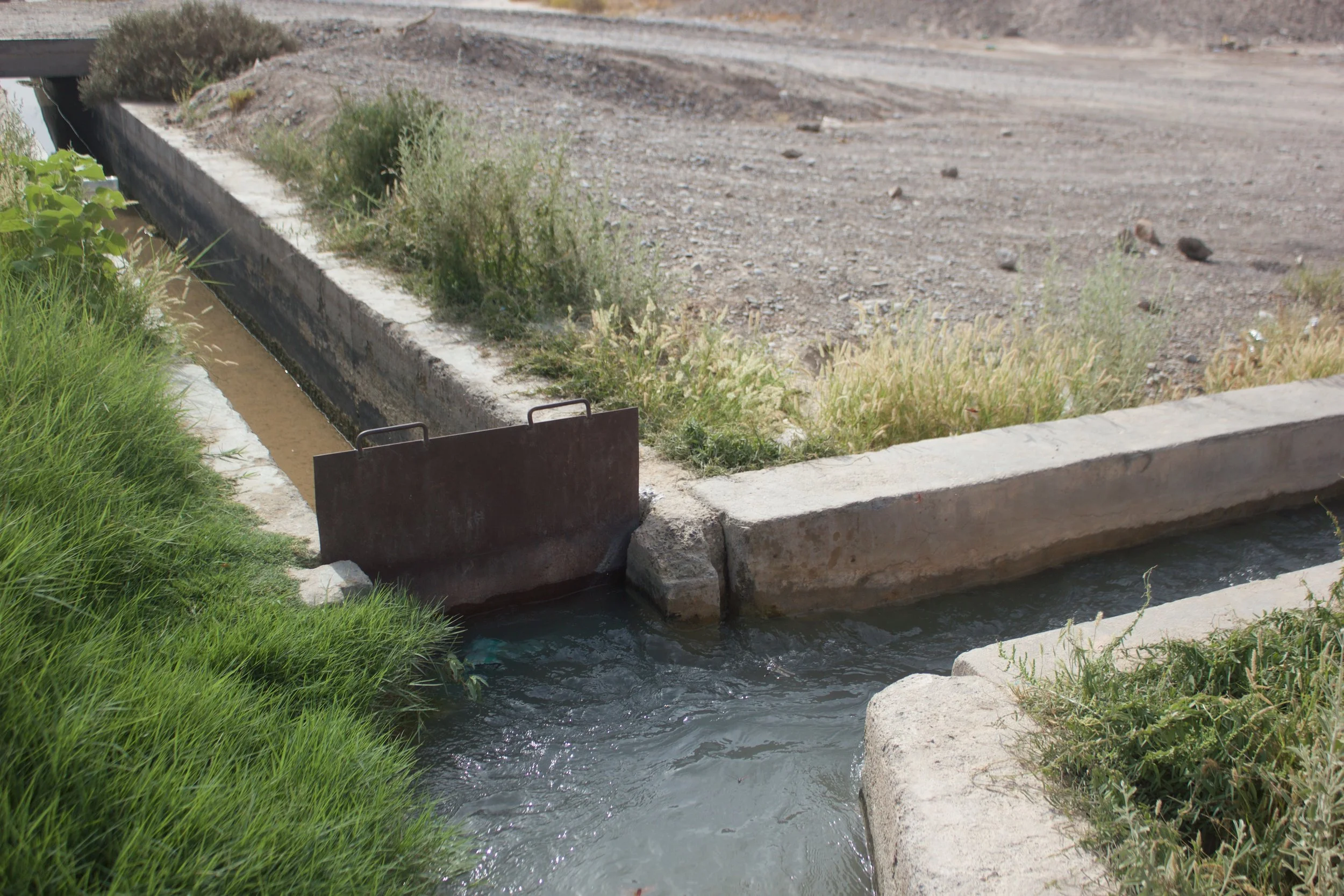 My article on the role of practicality in Ibāḍī jurisprudential rulings on music, with a rethinking of Lois al-Faruqi's famous argument. YJMR 6(1): 2