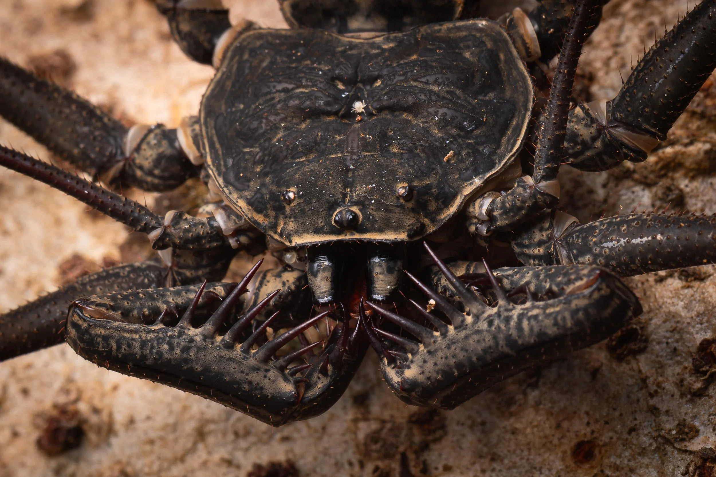 BAG_7383-Enhanced-NR.JPG