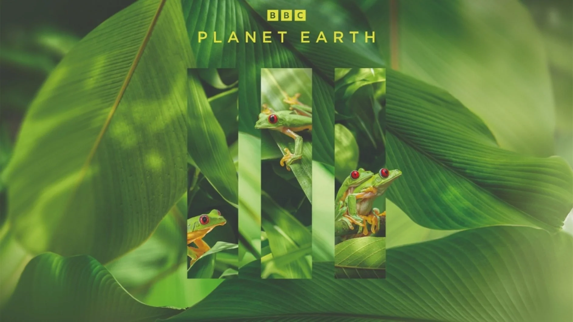 BBC's PLANET EARTH III