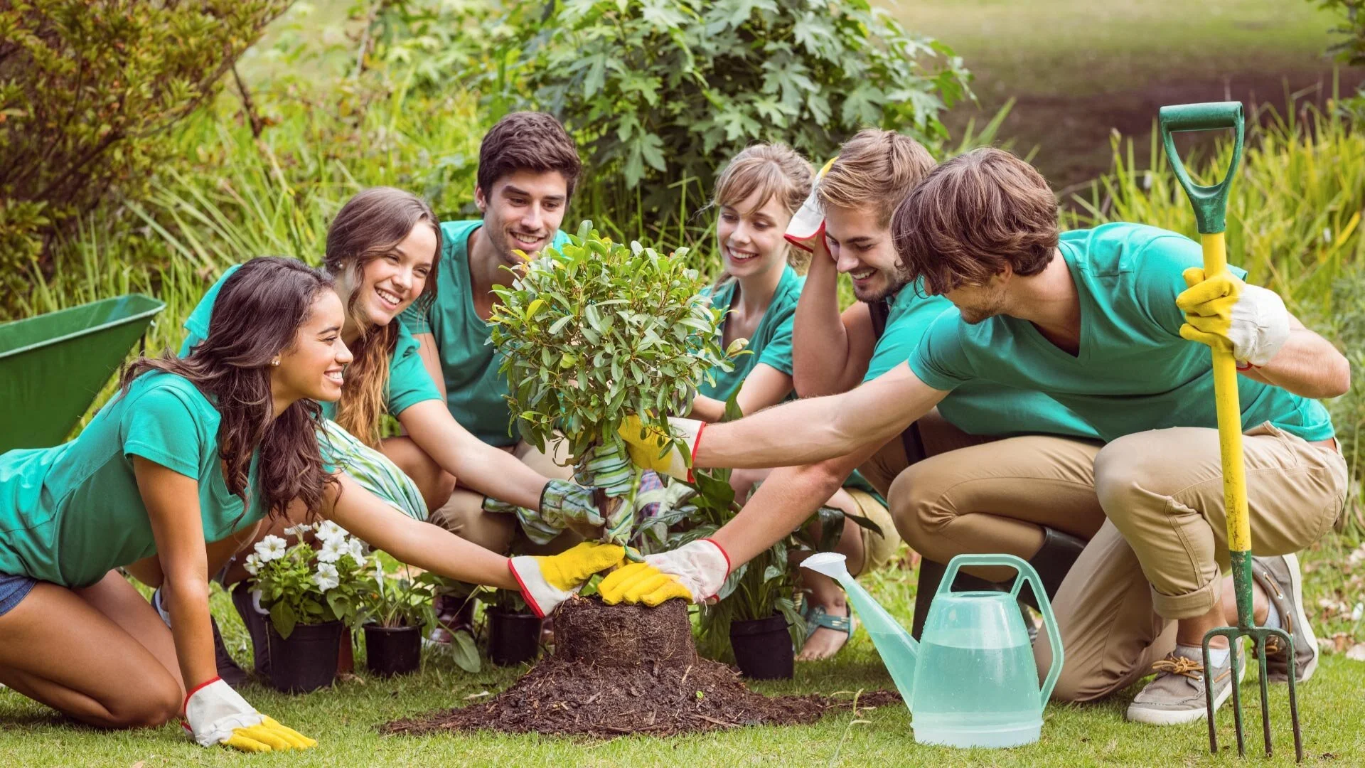 The Differences Between a Social Enterprise and a Charity