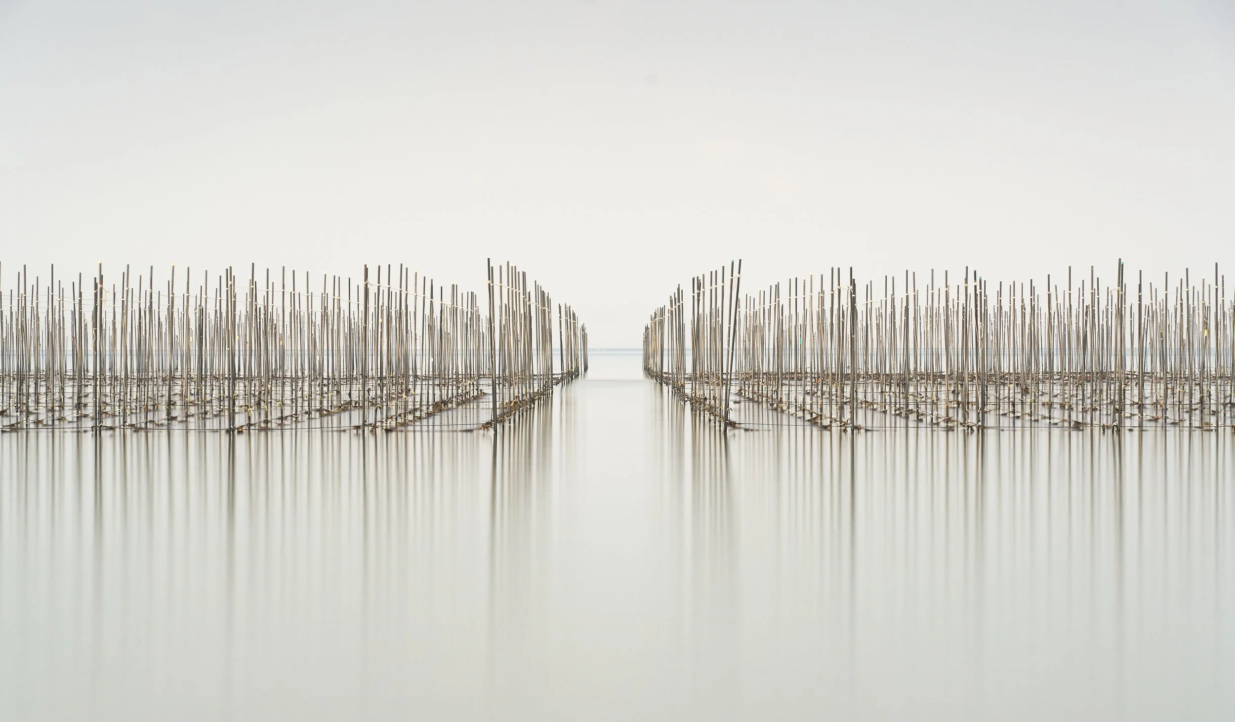 Repetition 4000px 1.jpg