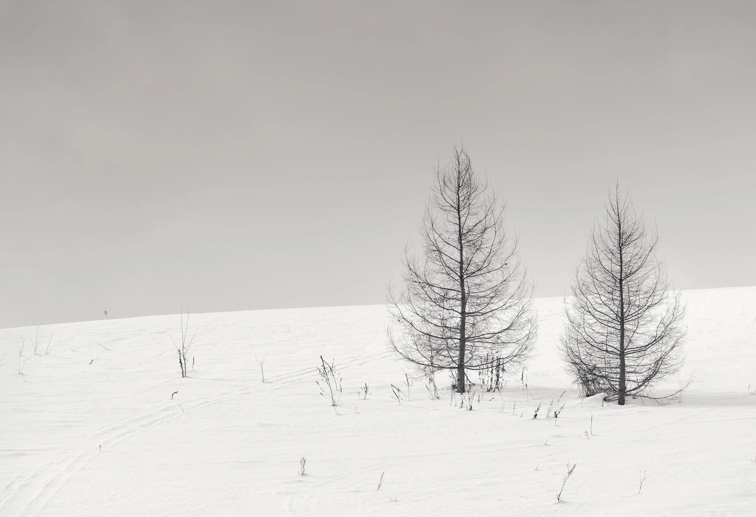 Hokkaido 34.jpg