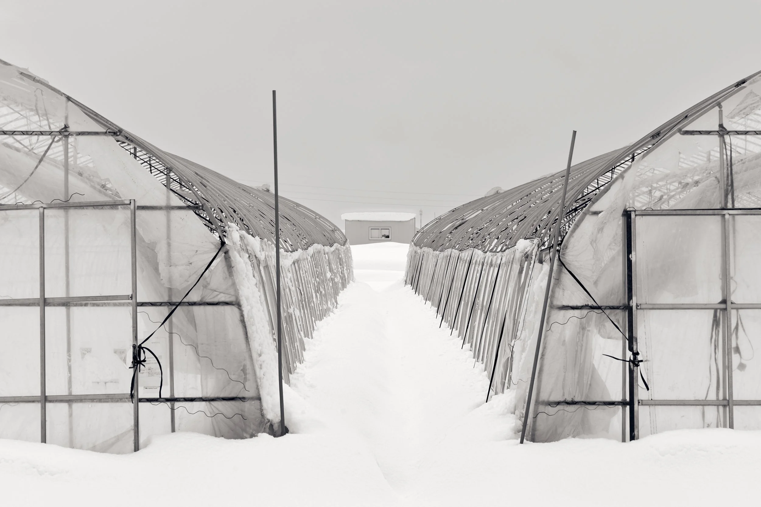 Hokkaido 35.jpg