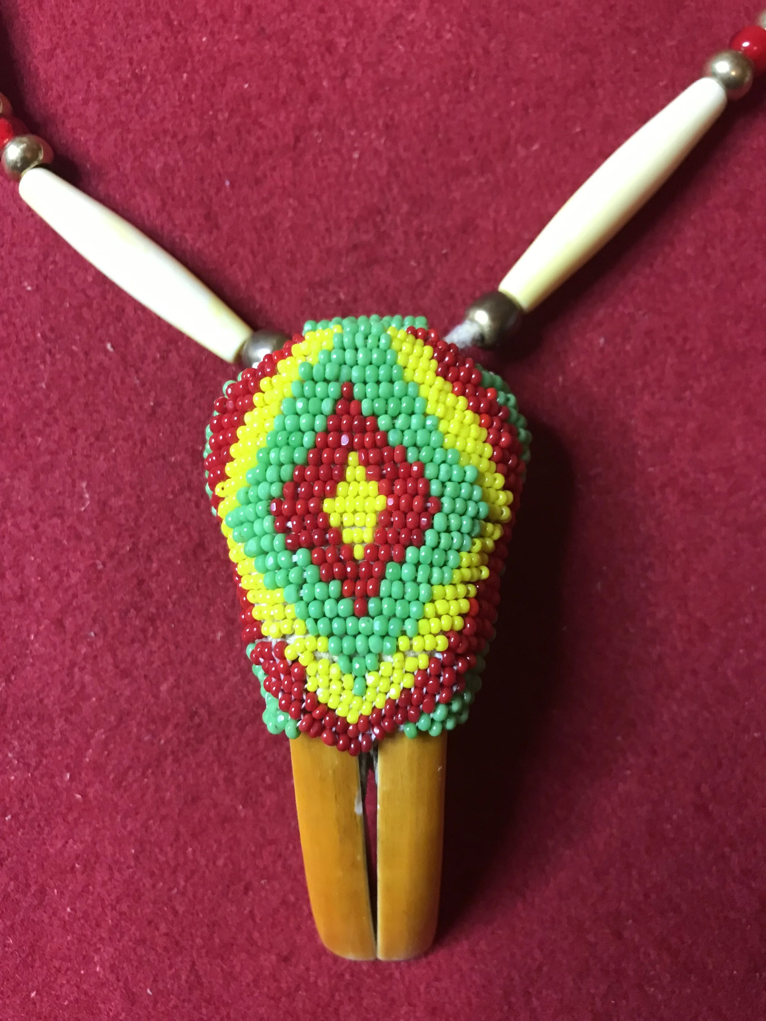 Native Made Beaver Tooth Necklace Made With Tom Oar Beaver Teeth