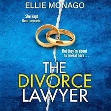 9_The Divorce Lawyer.jpg