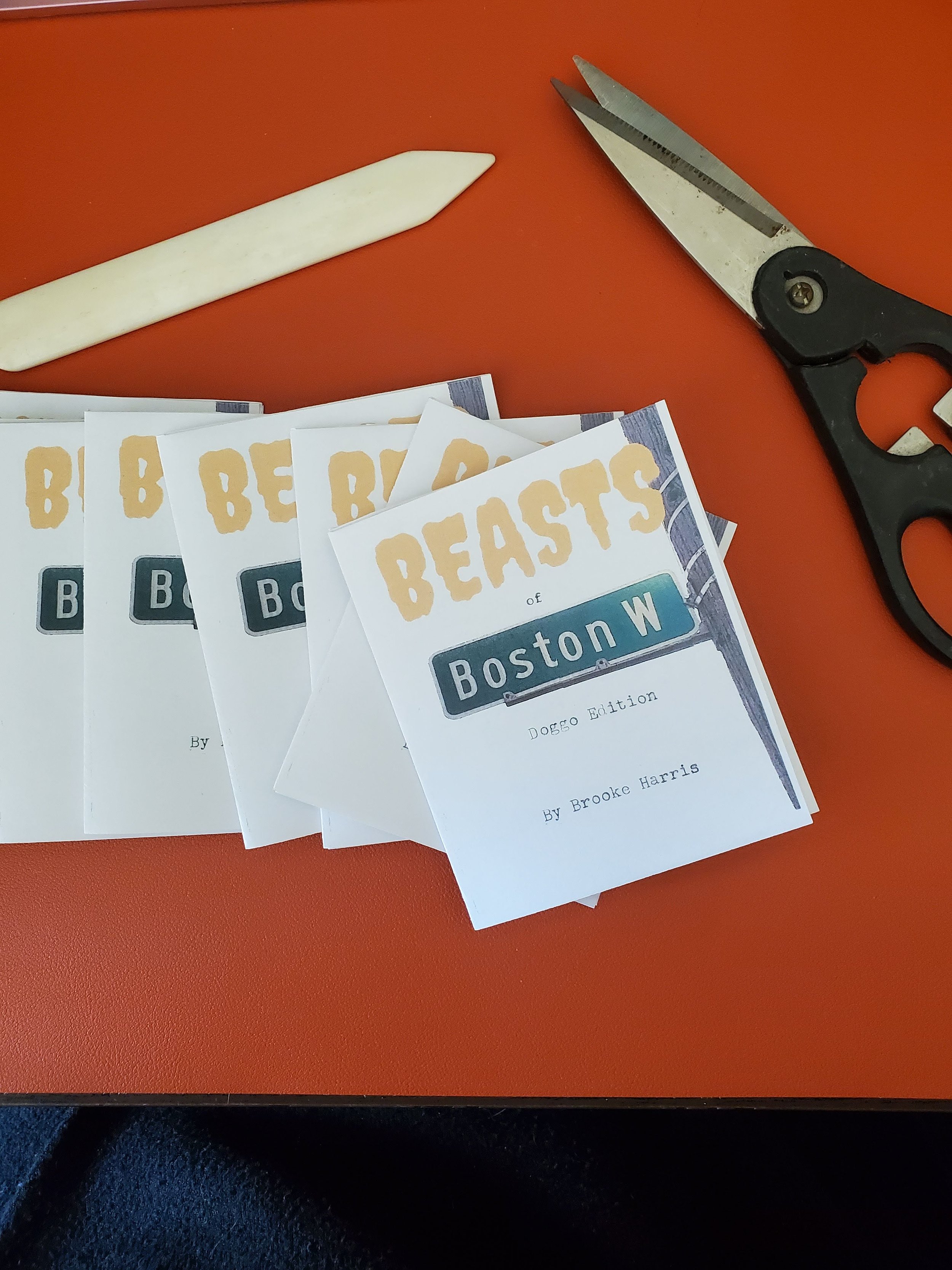 Beasts of W Boston Zine Pack