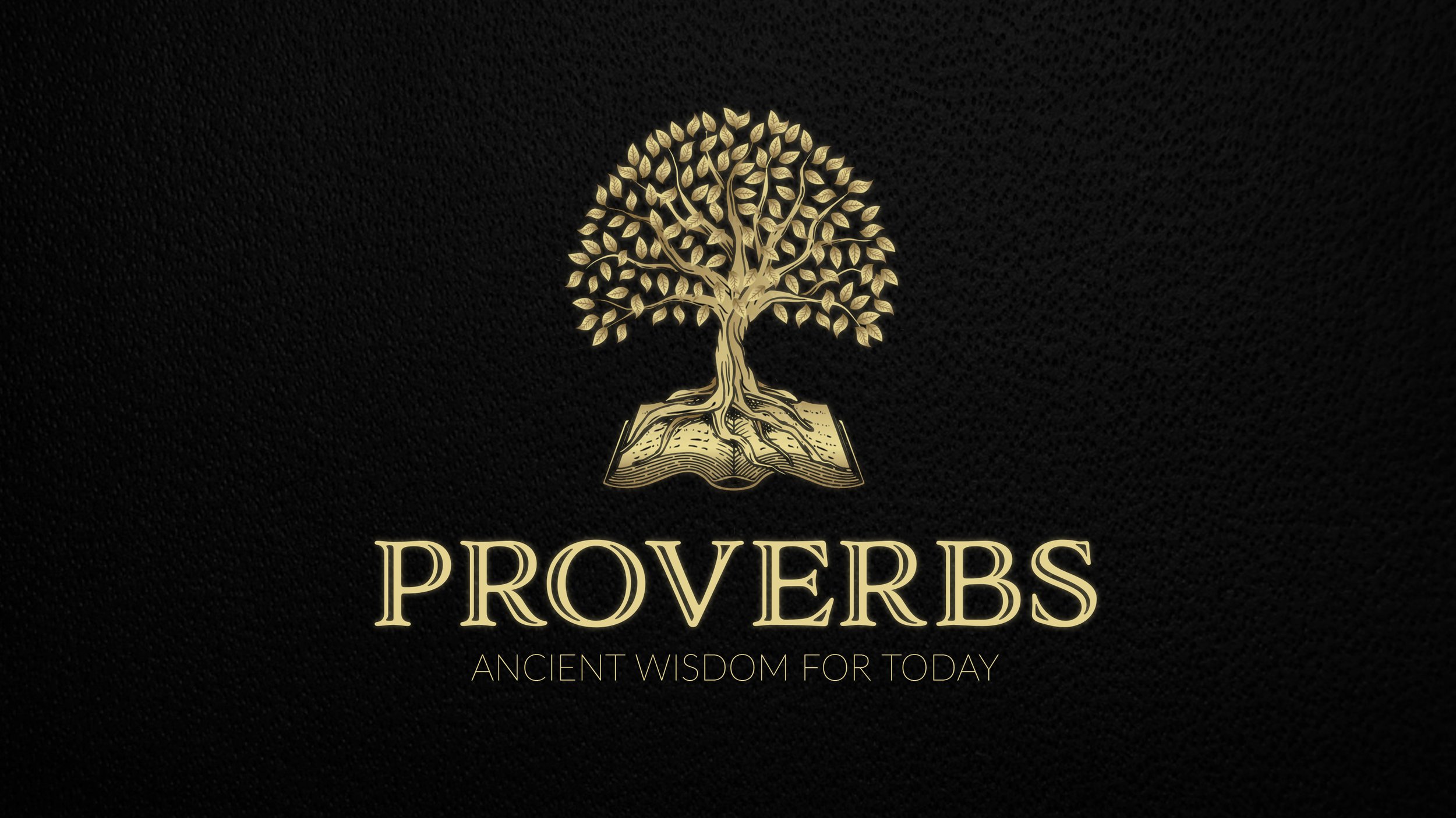 Proverbs Series Graphic.jpg